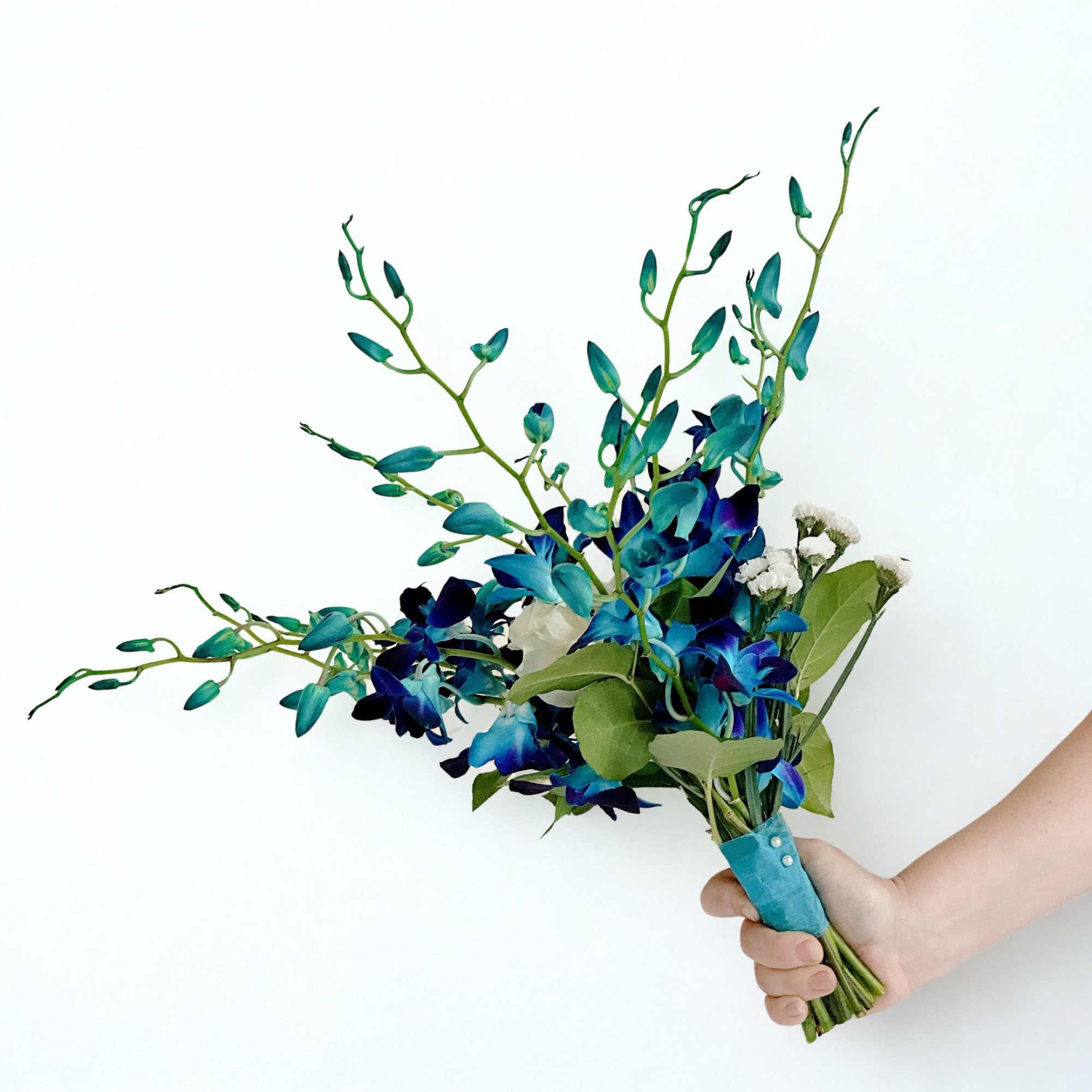 Handheld bouquet of blue orchids and white filler flowers
