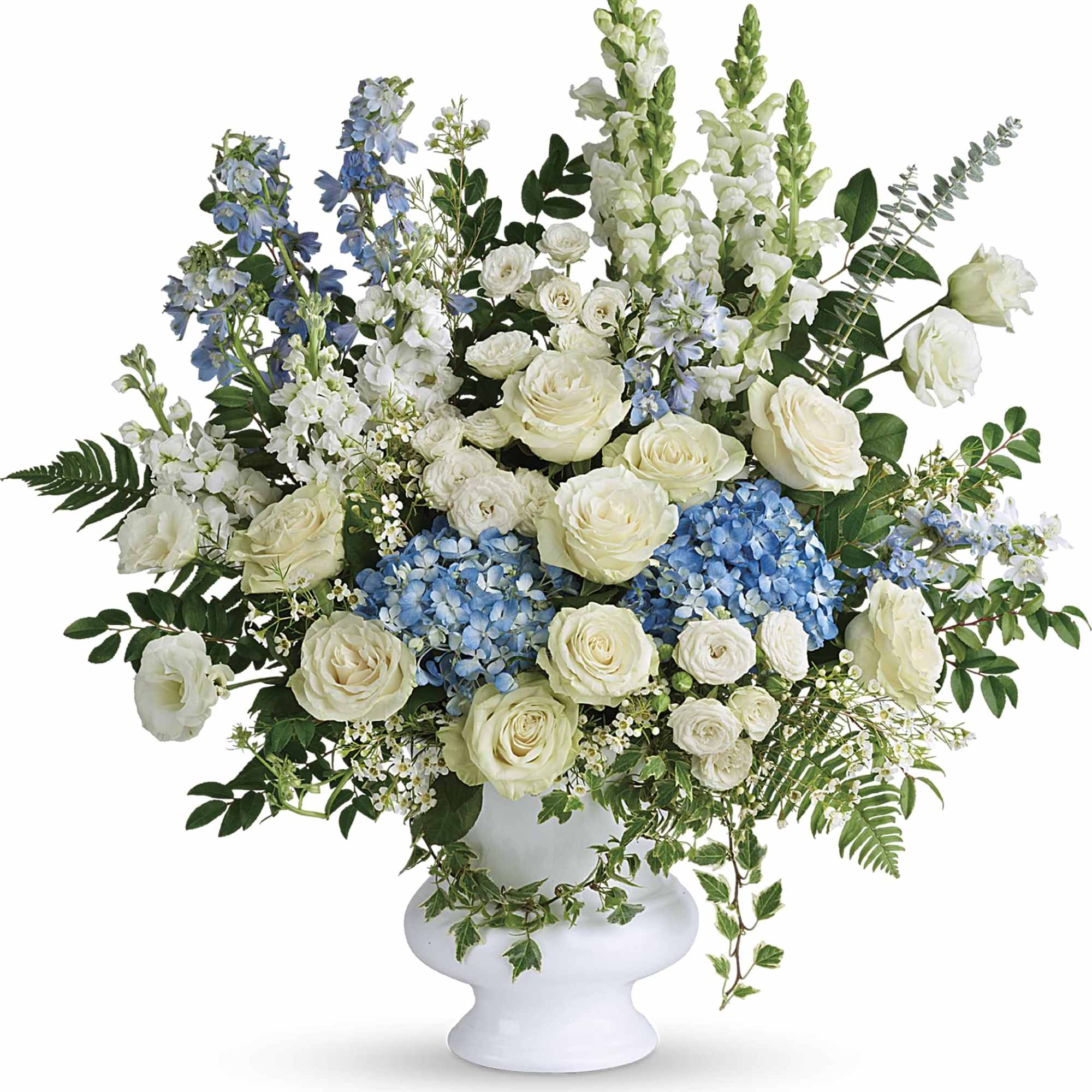White roses and blue flowers arranged in a white urn vase