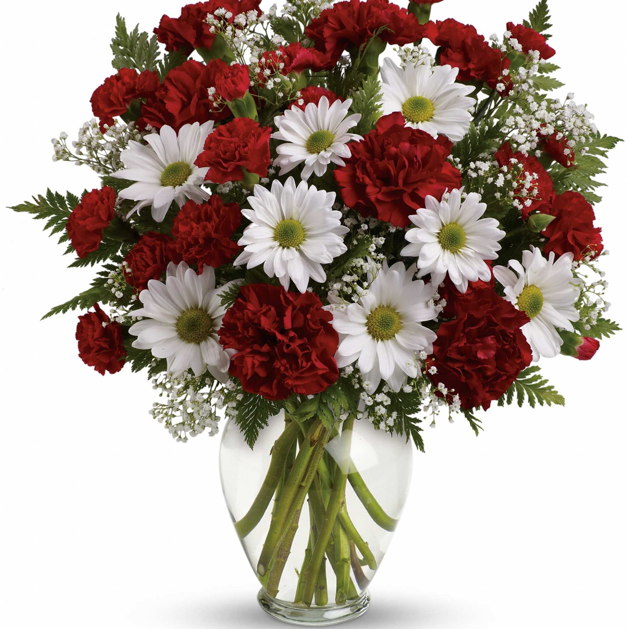 Red carnations and white daisies in a clear glass vase