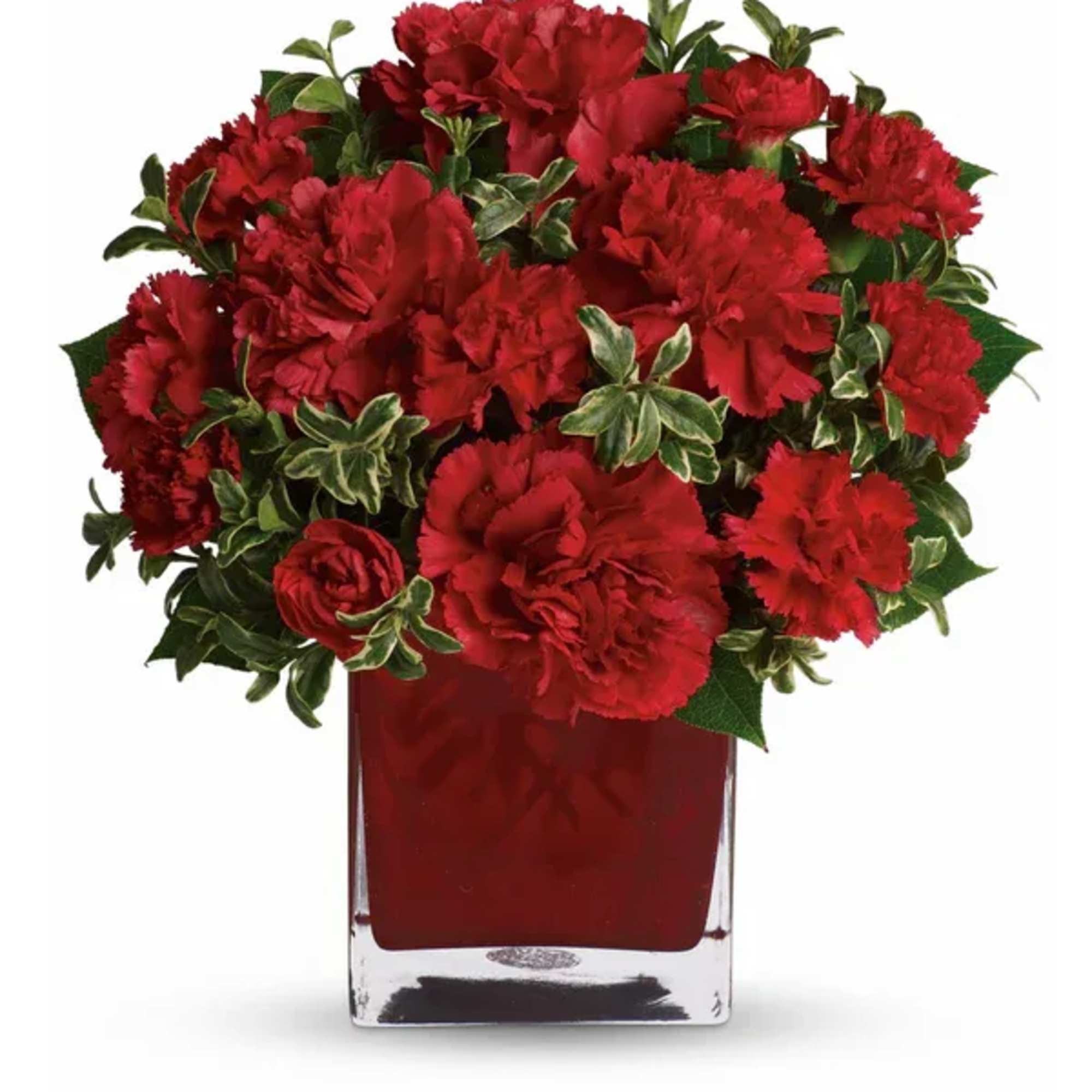 Red carnations arranged in a square glass vase