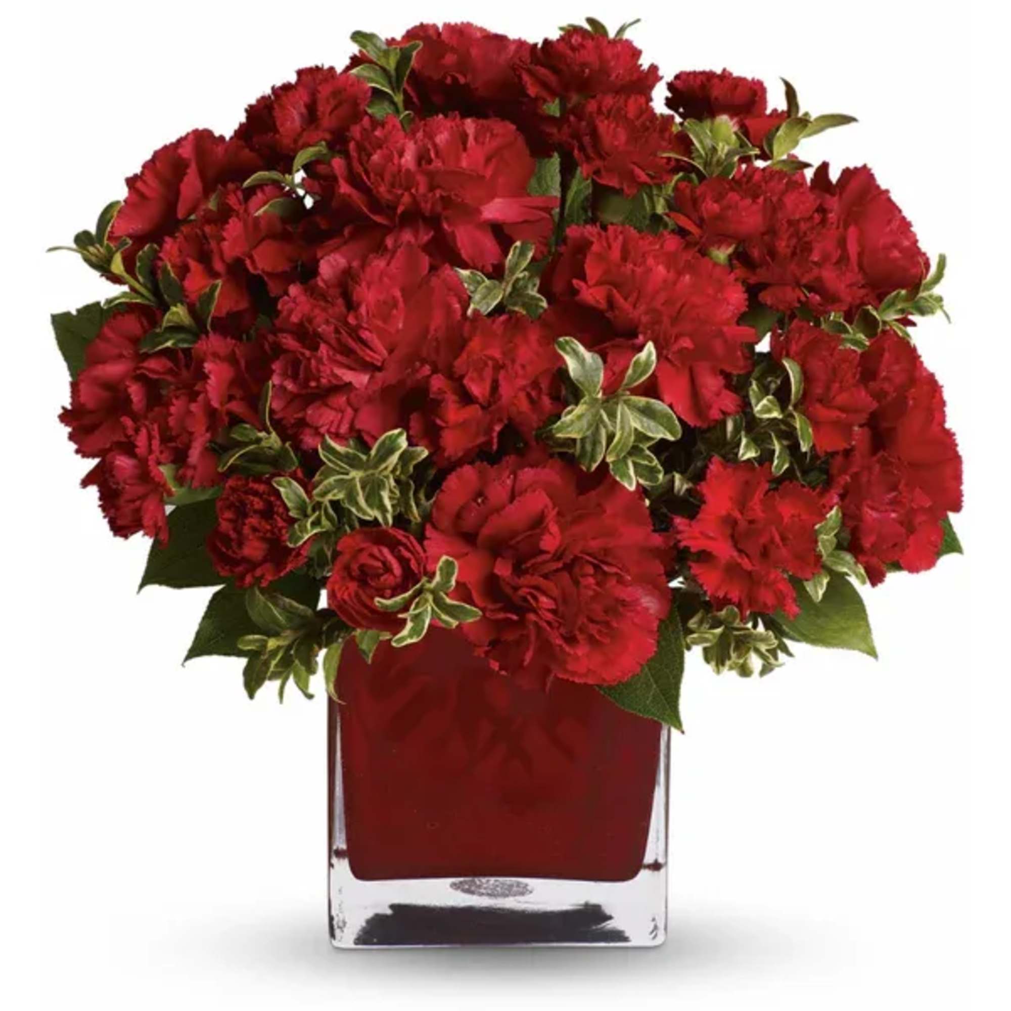 Red carnations arranged in a square glass vase