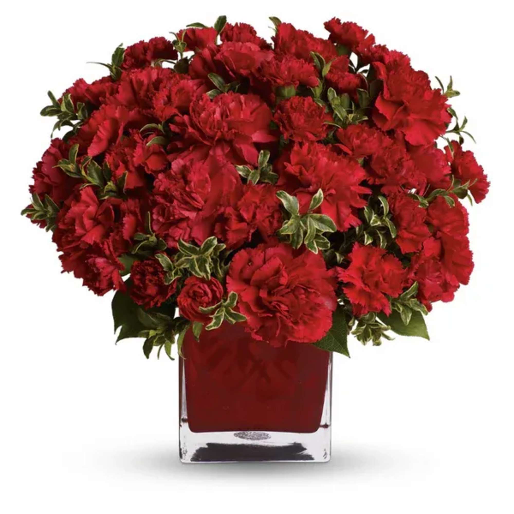Red carnations arranged in a clear square vase