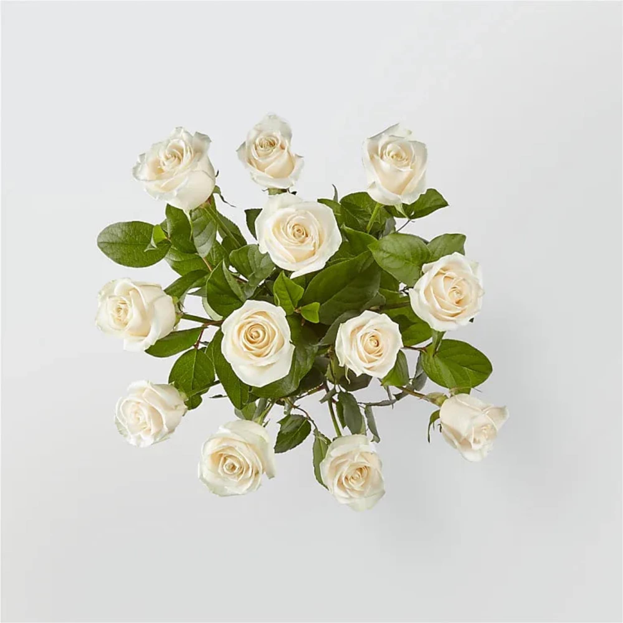 Bouquet of white roses with green leaves