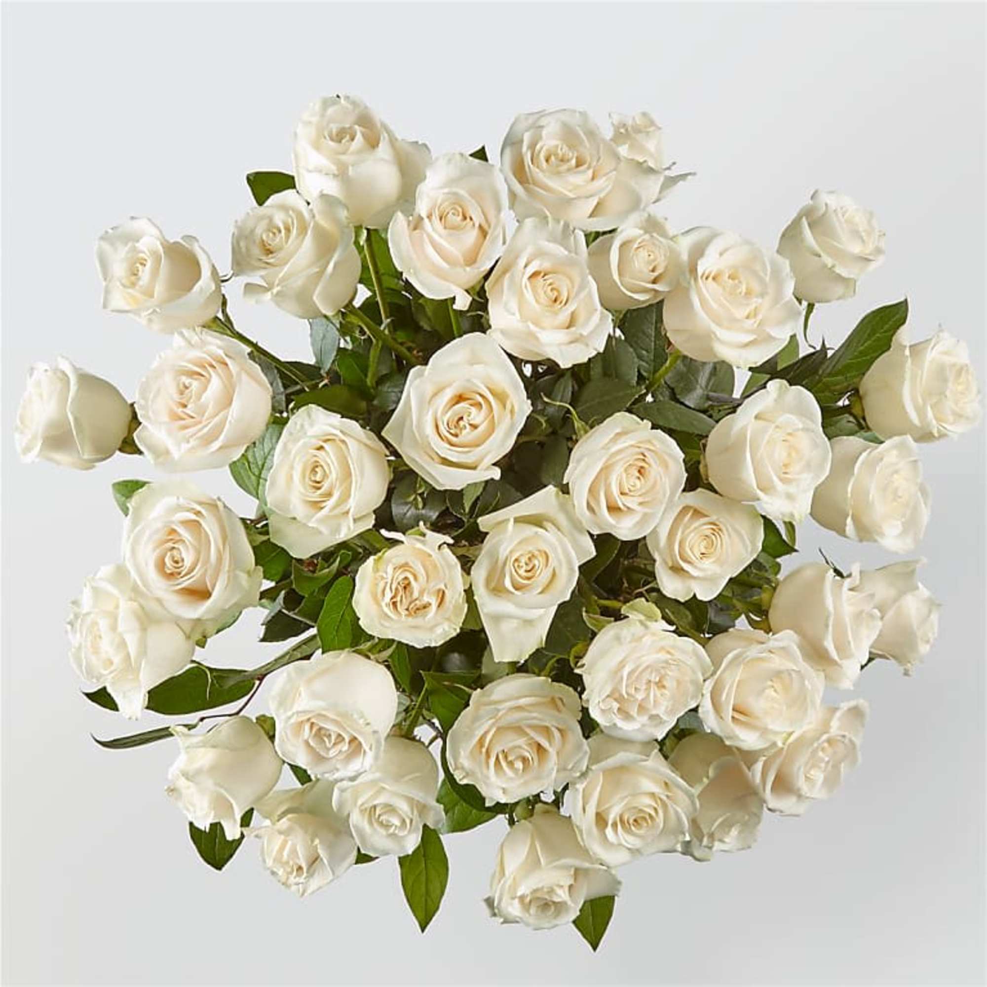 Bouquet of white roses with green foliage