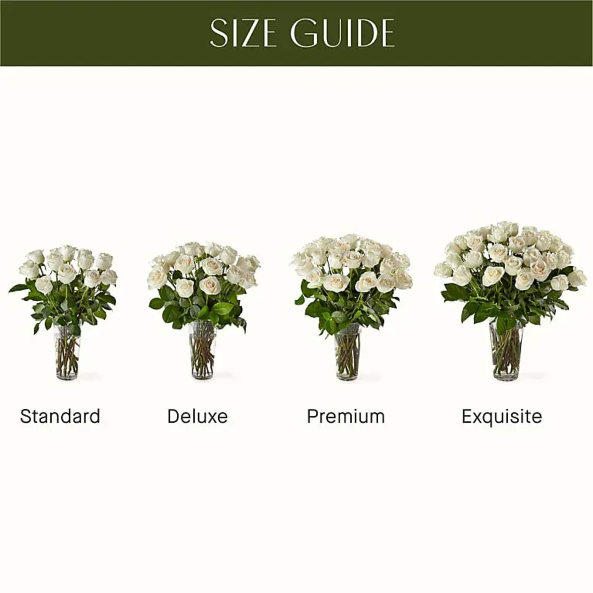 Size guide showing four white rose arrangements in glass vases
