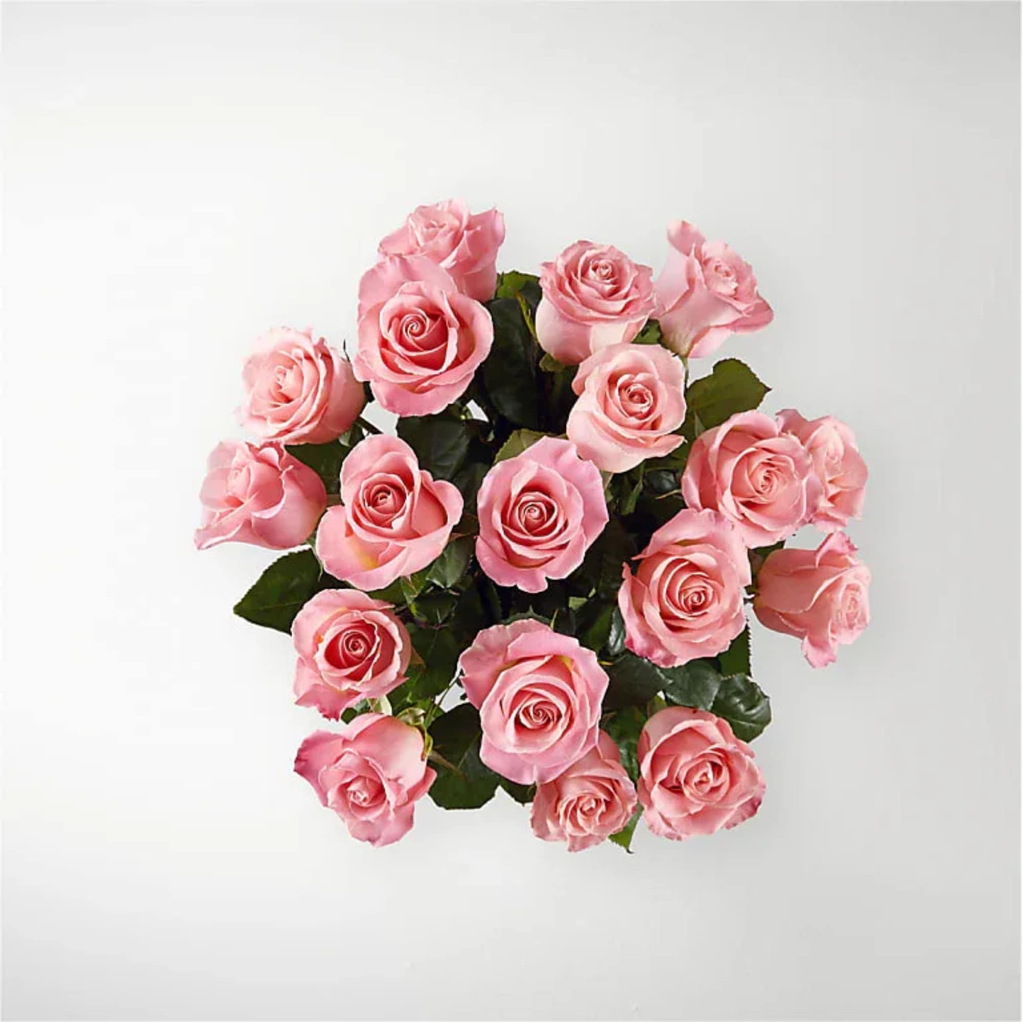 Bouquet of pink roses with dark green foliage