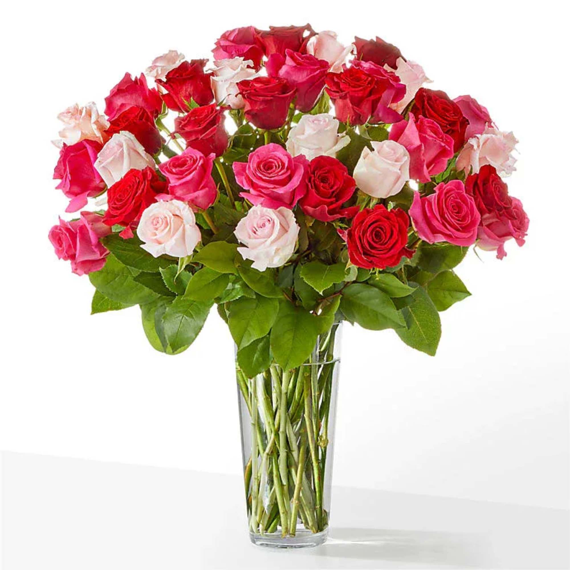 Bouquet of red, pink, and white roses in a clear glass vase