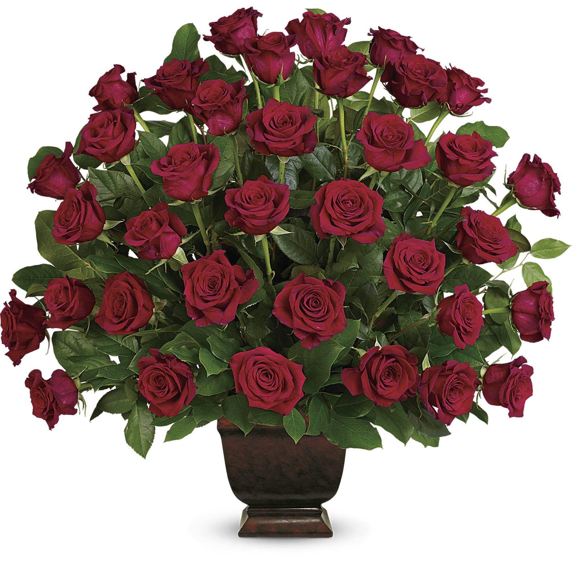 Red roses arranged in a dark vase