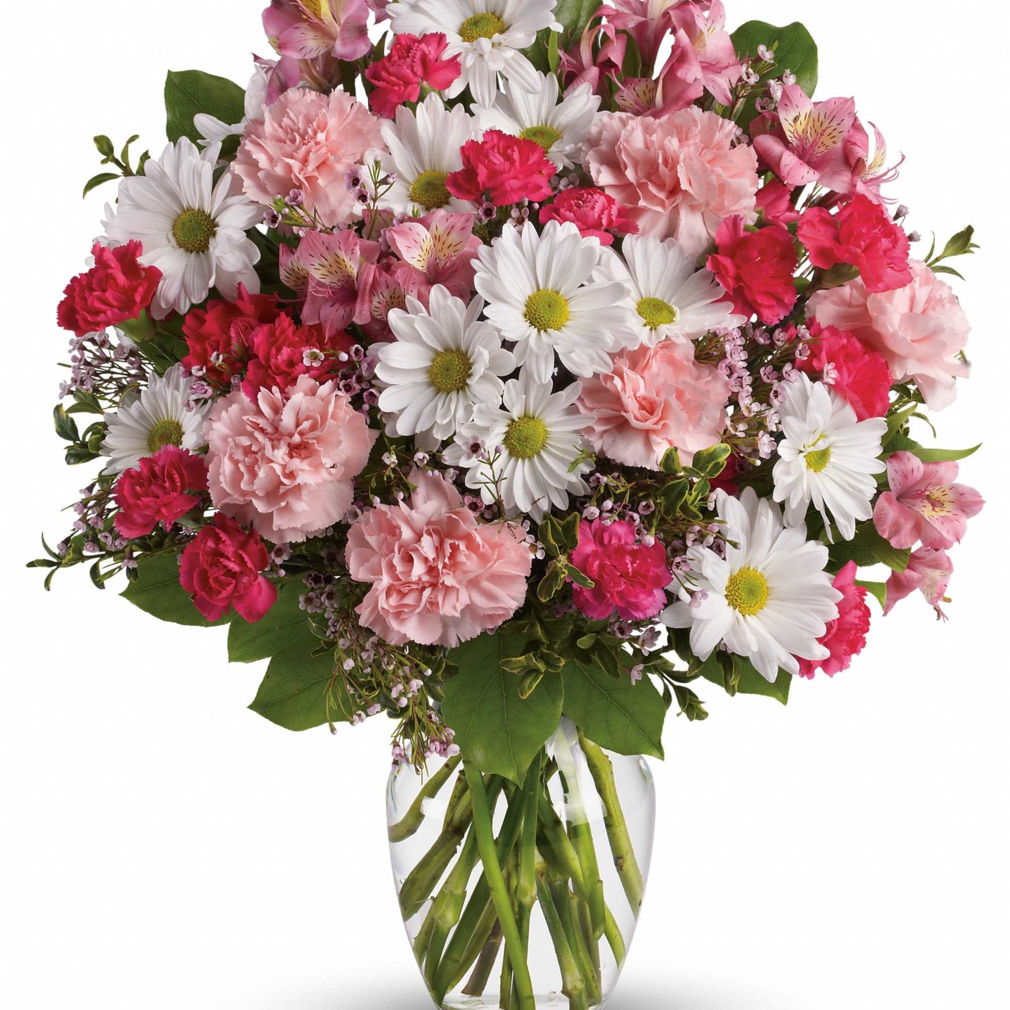 Pink carnations and white daisies in a clear glass vase