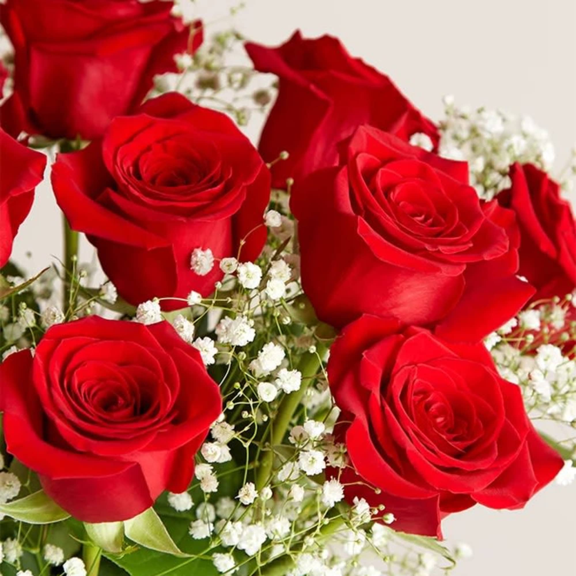 Bouquet of red roses with white baby's breath