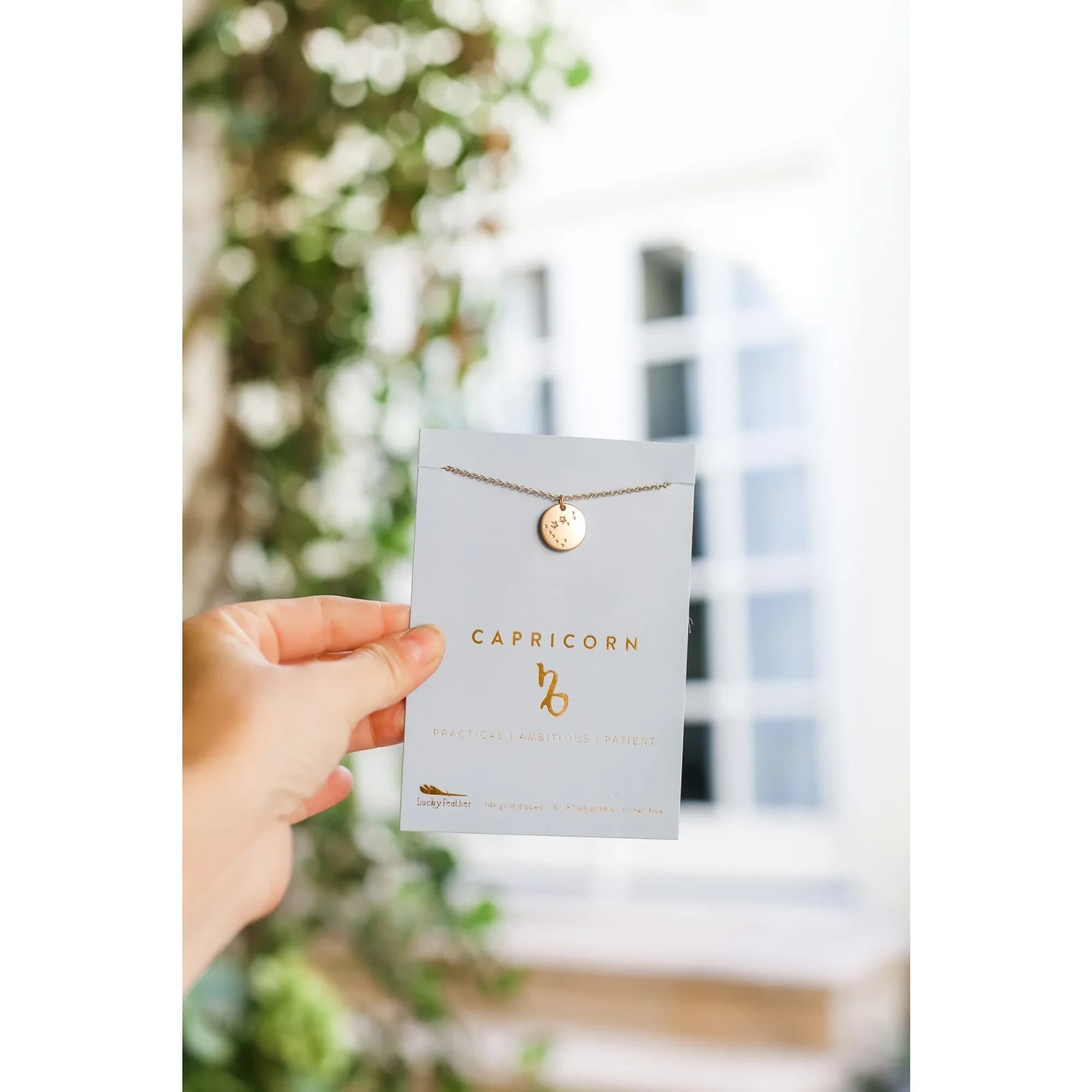 Radiate Your Star Sign in Style with our Zodiac Necklace

Celebrate your celestial, photo 4 of 4