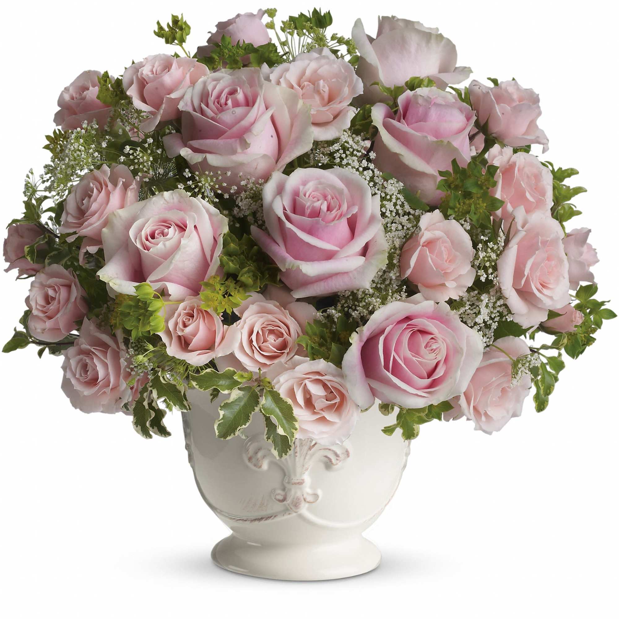 Named after the most romantic city in the world, this pretty rose