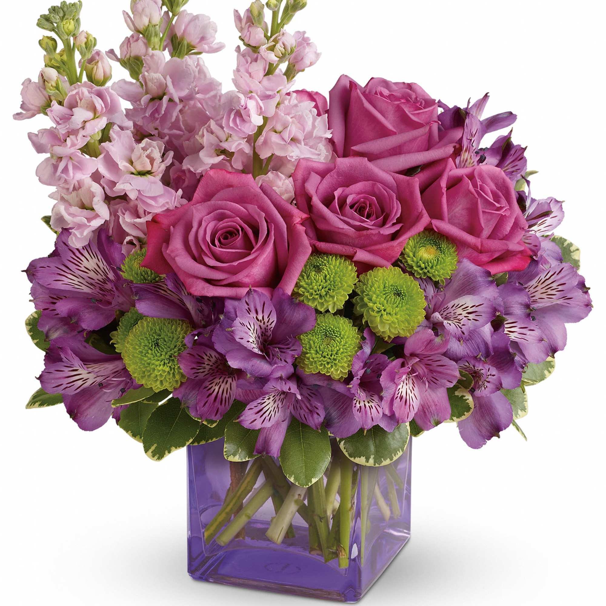 Sweet as can be! Hand-delivered in a chic lavender cube, this marvelous