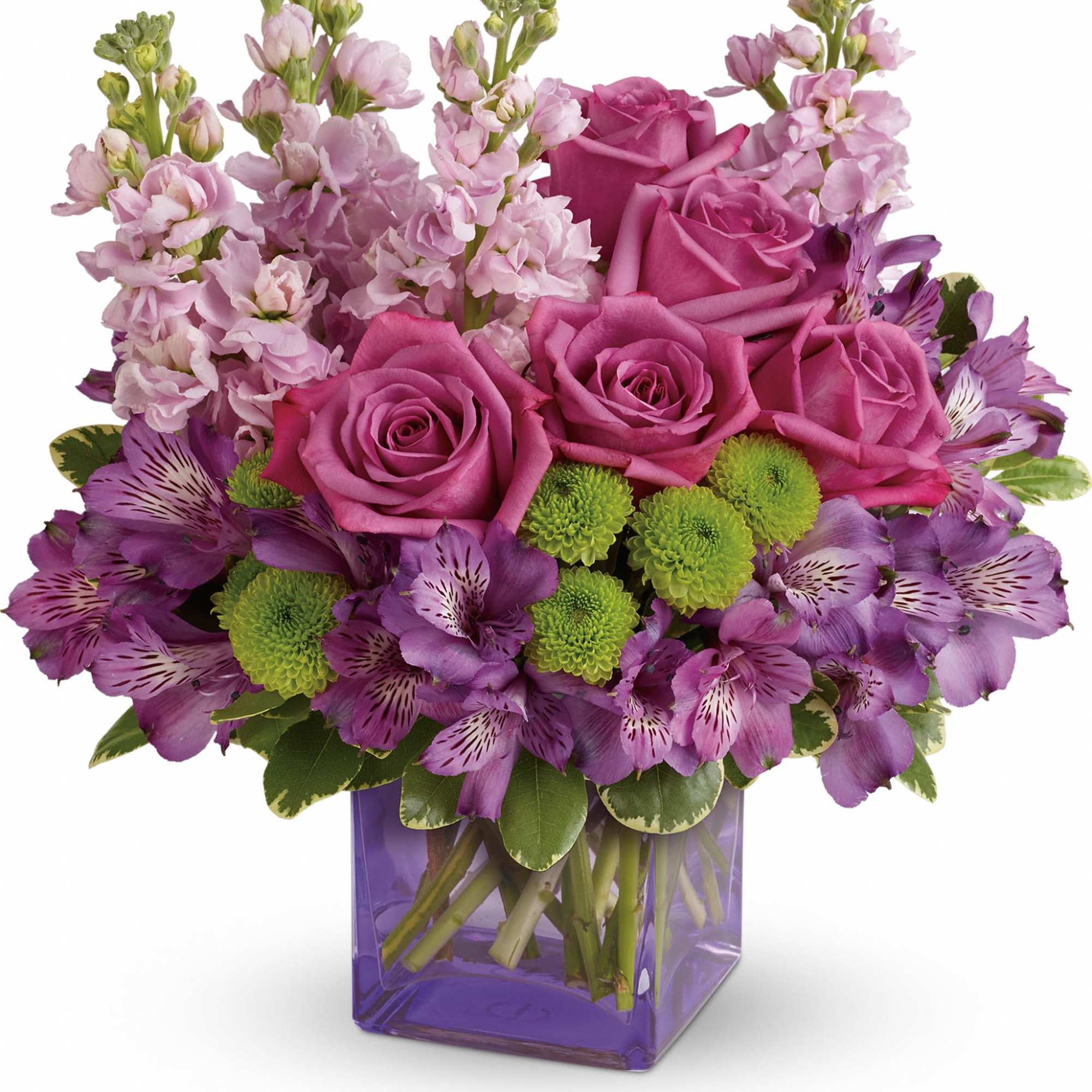 Sweet as can be! Hand-delivered in a chic lavender cube, this marvelous