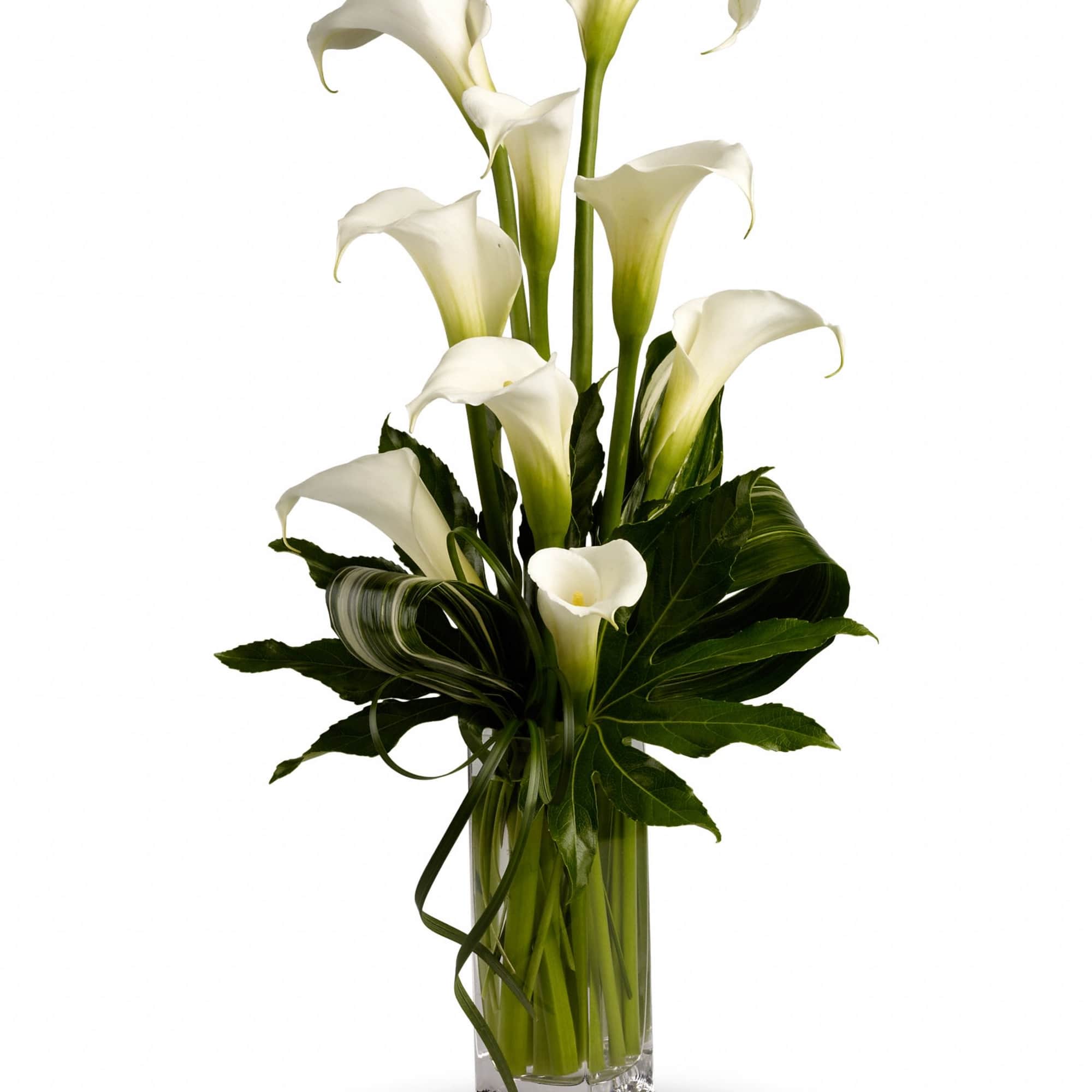 Tall, sculptural white calla lilies give this flower arrangement a modern, refined
