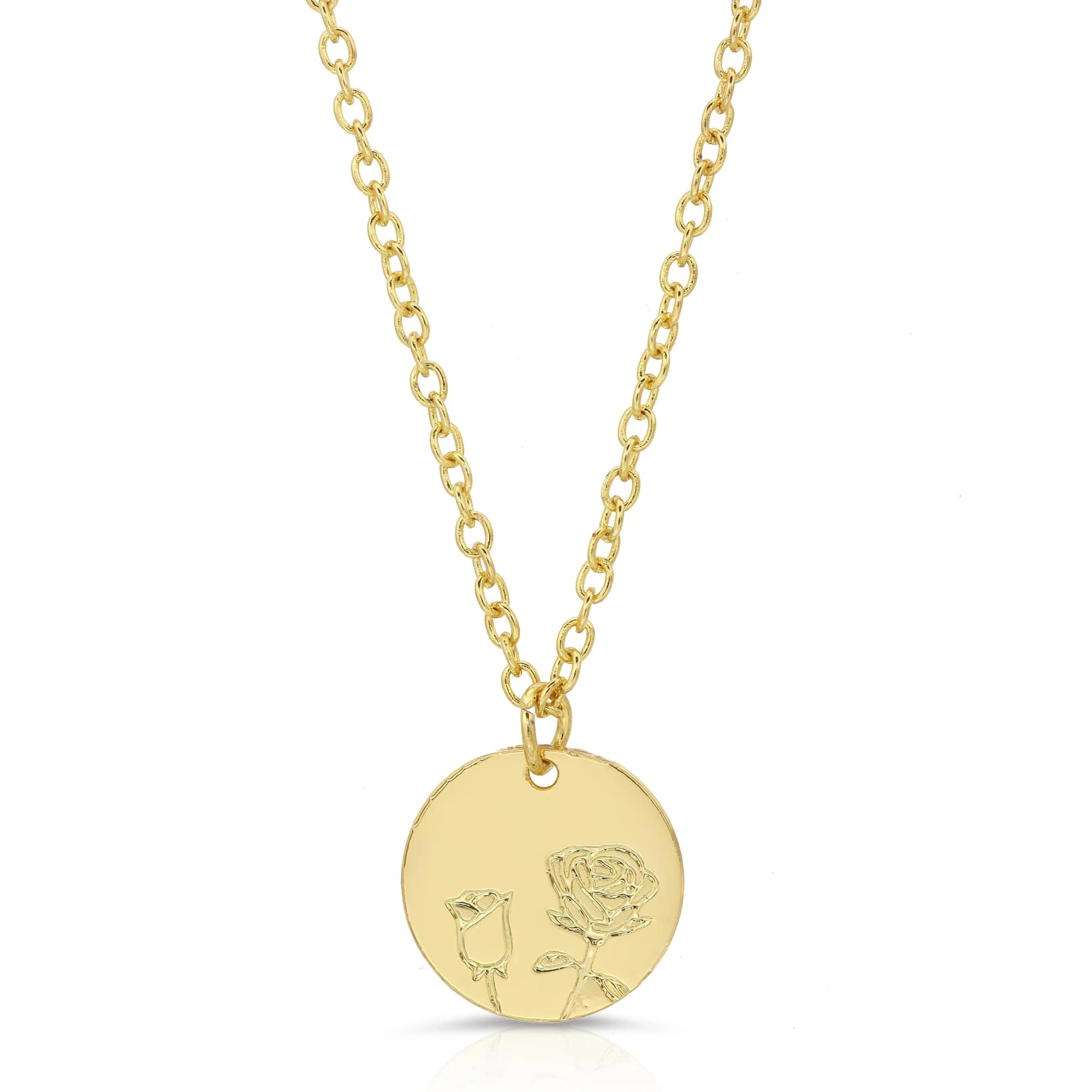 Rose (Botanical Necklaces)
These botanical necklaces are the perfect reminder of your ability, photo 2 of 4