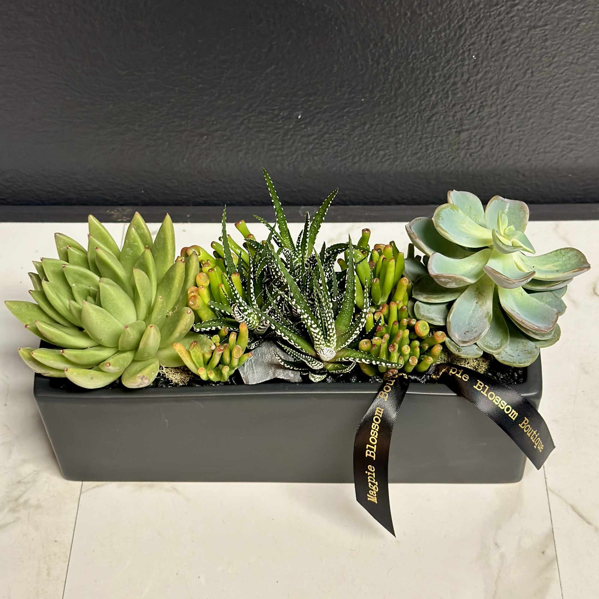 Succulent arrangement in a rectangular gray planter with a ribbon