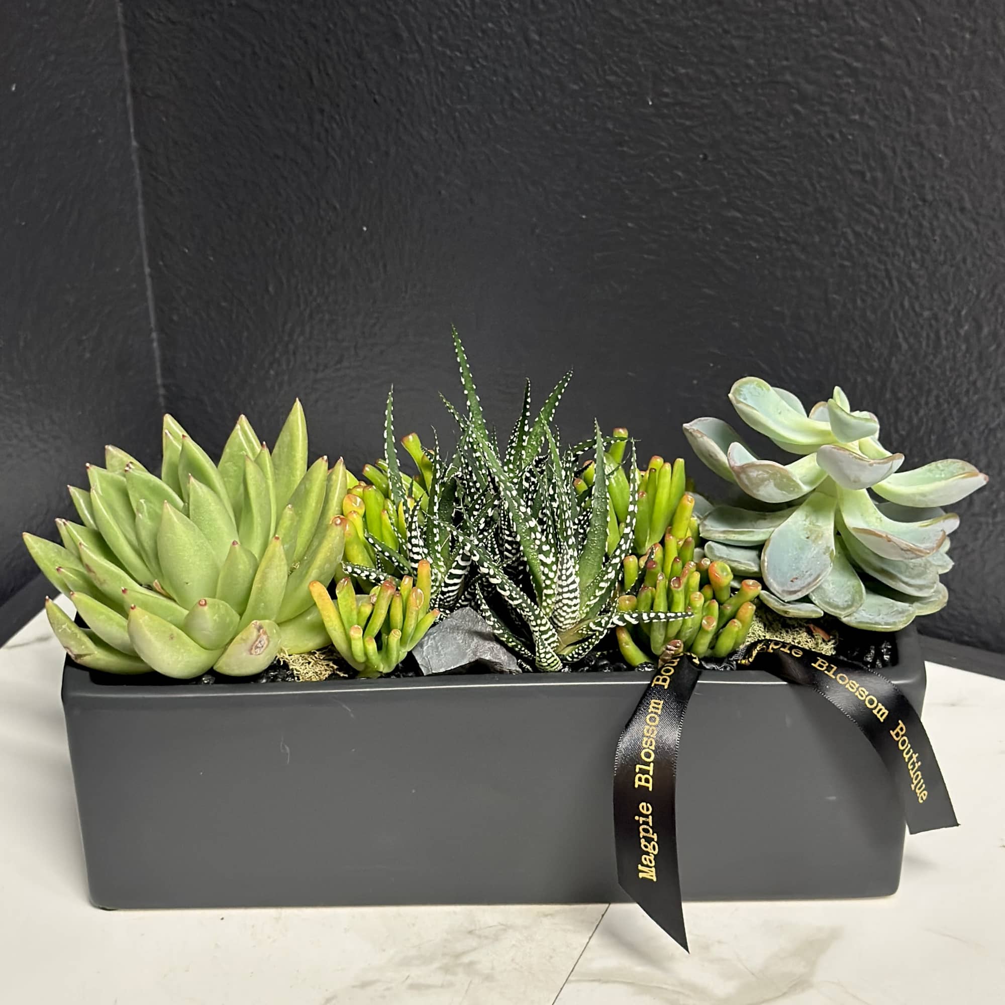 Succulent arrangement in a rectangular black planter with ribbon
