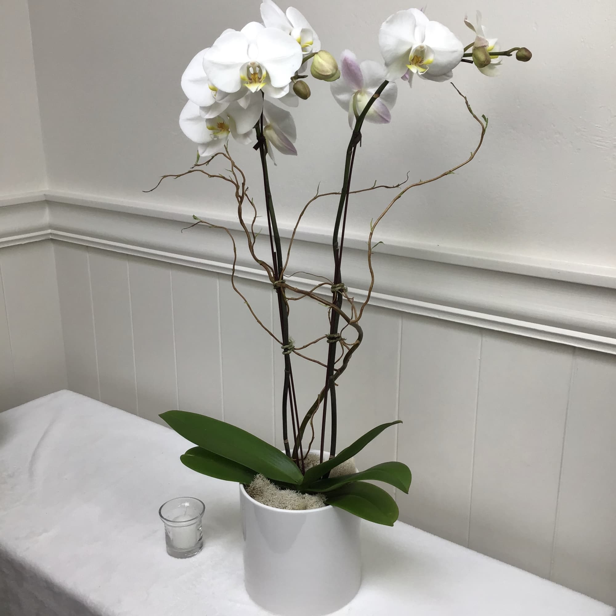 White orchid plant in a white pot with a small candle beside it