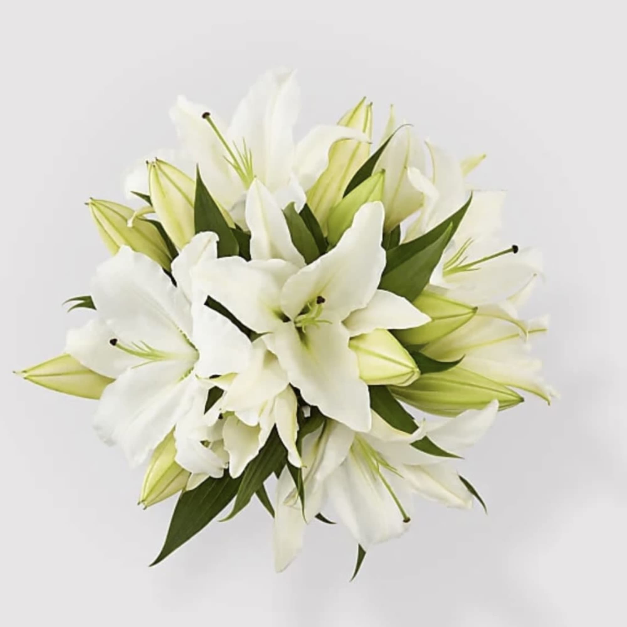 White lily bouquet with green buds on a light background