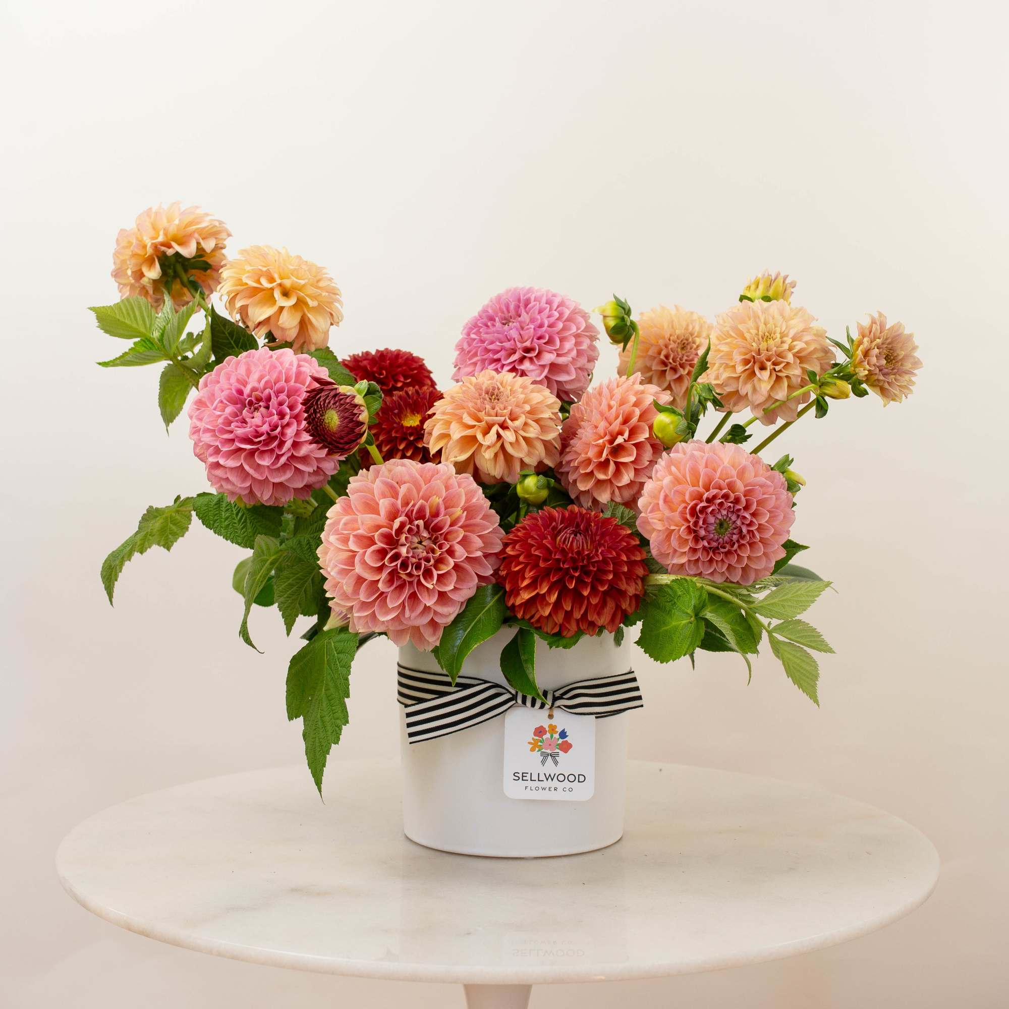 Pink and peach dahlias arranged in a white vase with a striped ribbon