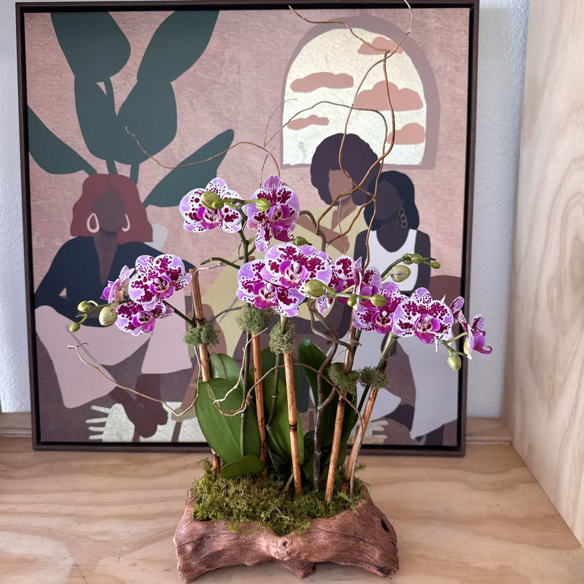 Potted orchid arrangement with pink-speckled blooms in a wooden base