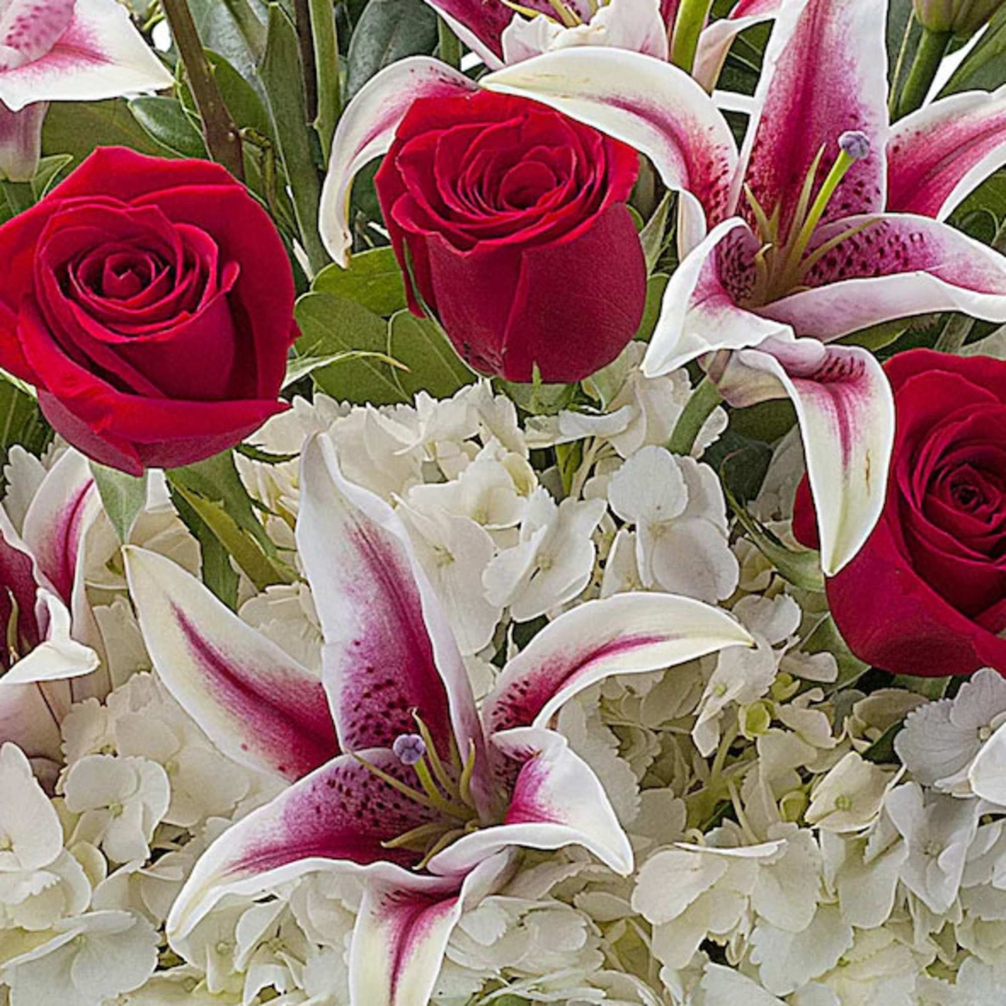 Bouquet of red roses and white-pink lilies with white hydrangeas
