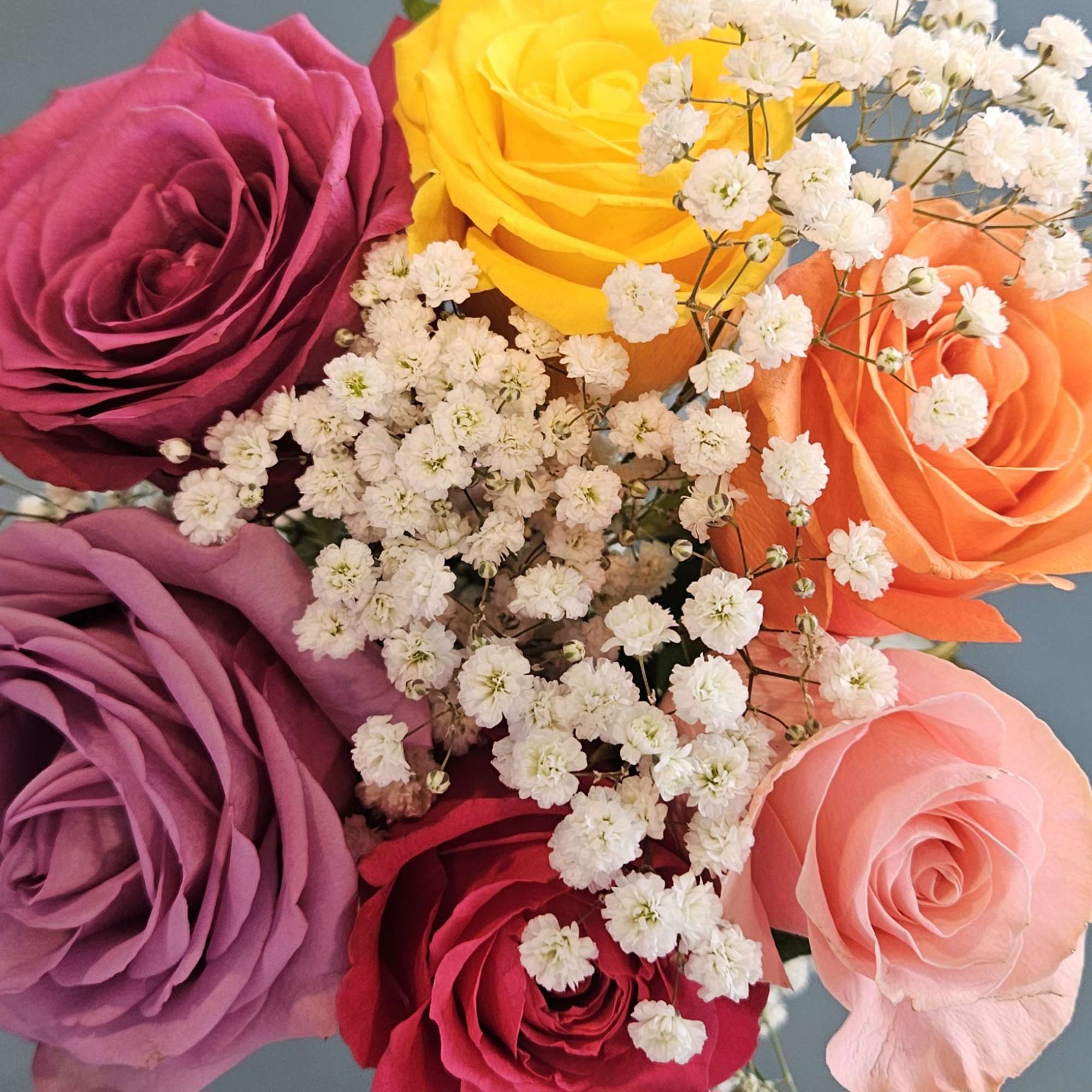 Bouquet of multicolored roses with small white filler flowers