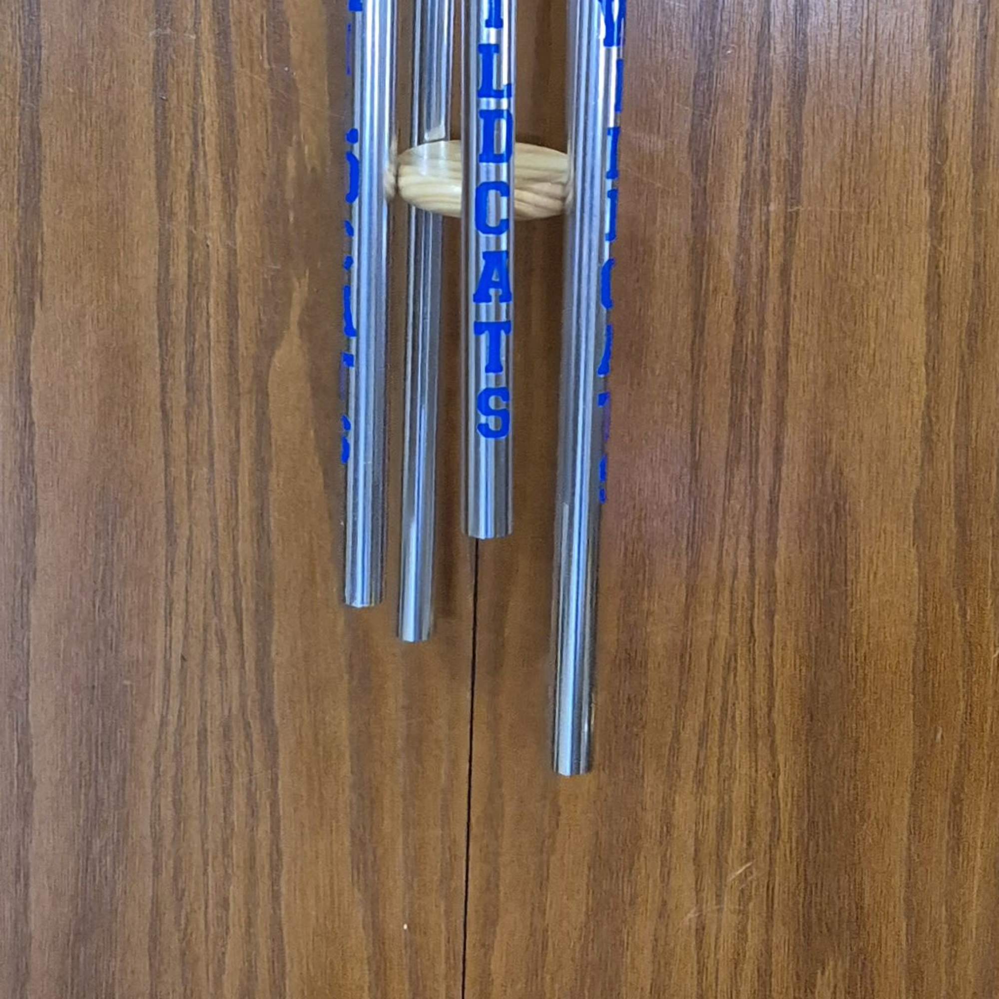 Bright silver tubes stamped with bold blue "WILDCATS" lettering catch the eye