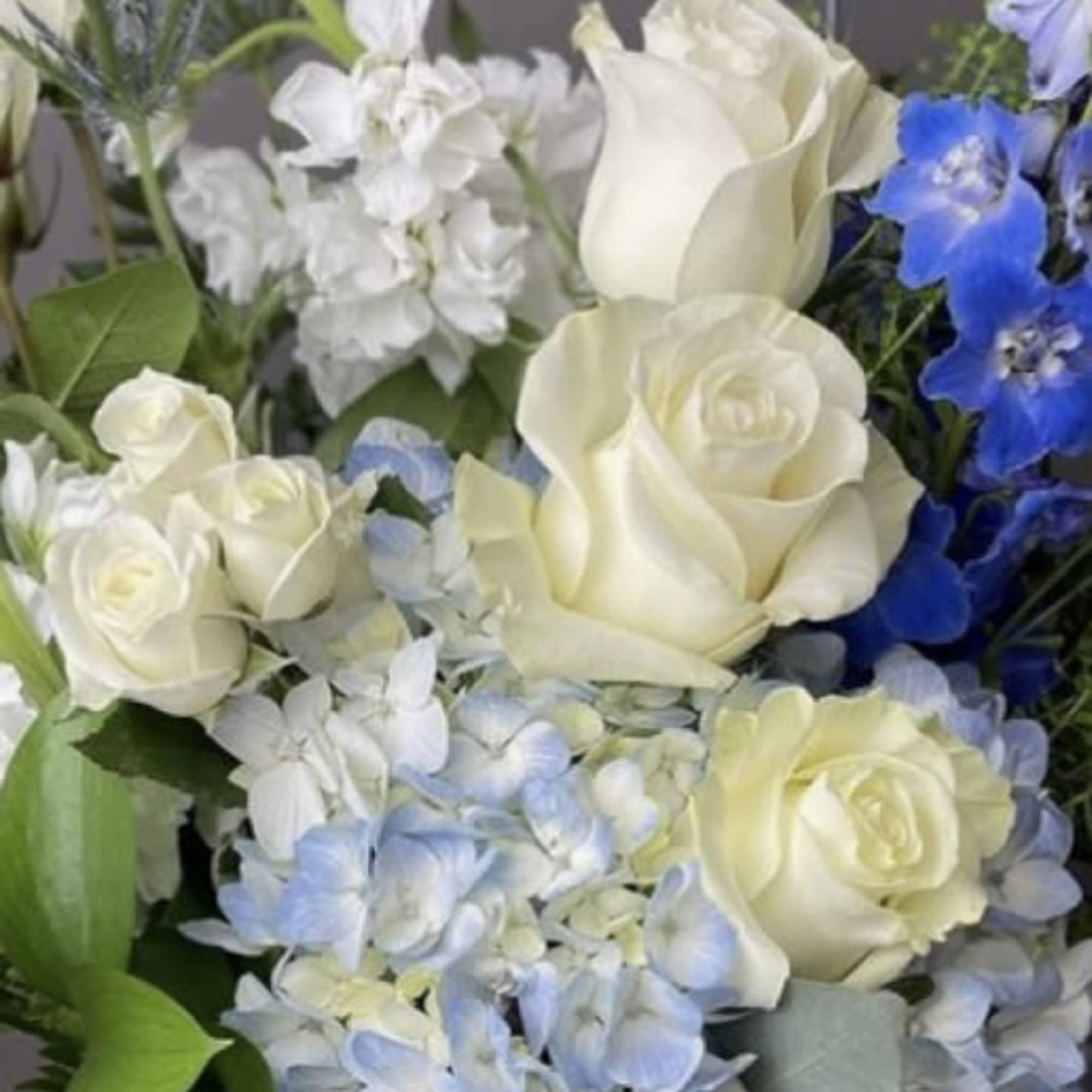 Bouquet of white roses and blue hydrangeas with white accent flowers