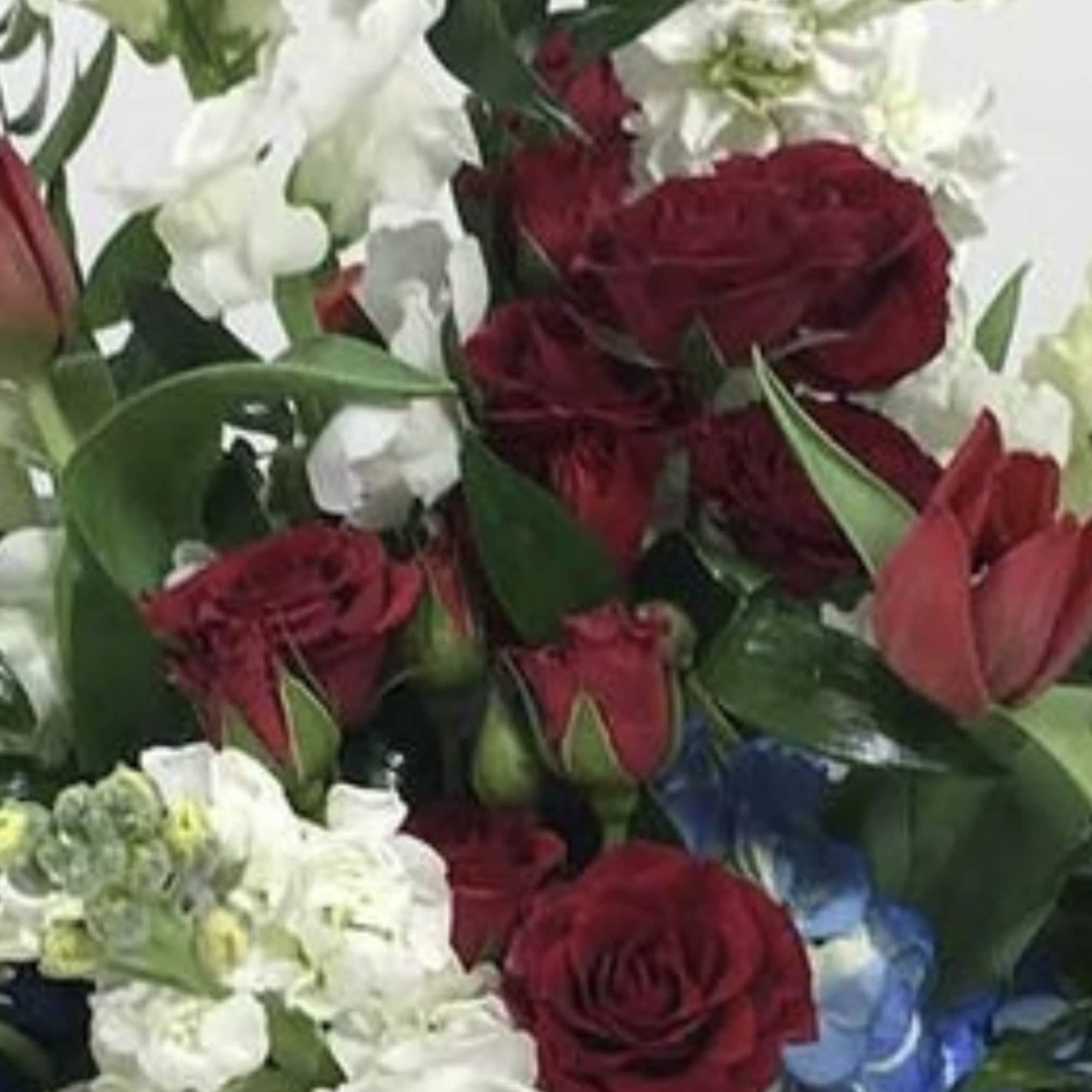 Bouquet of red roses, white stock, and blue hydrangeas