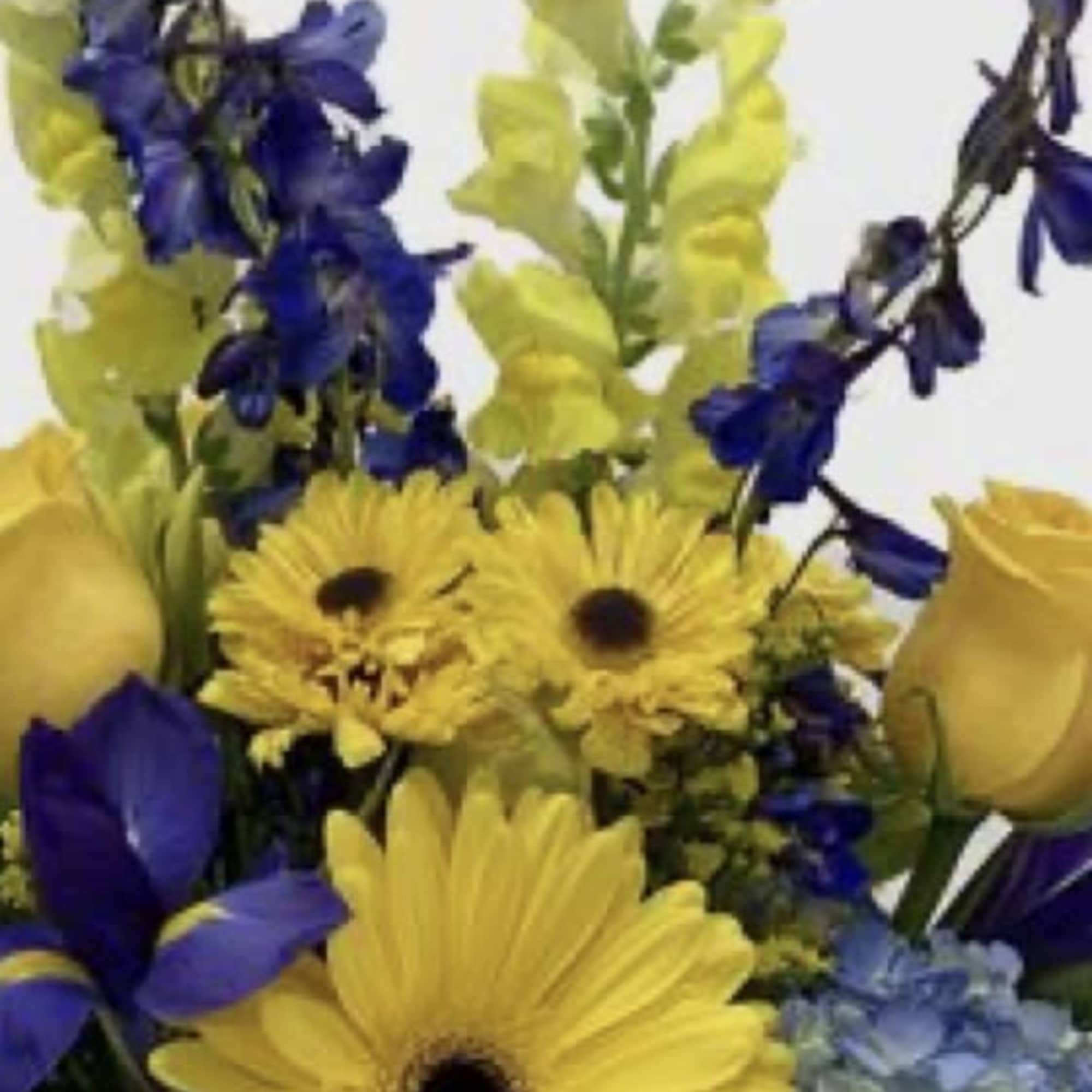 Yellow gerbera daisies with blue flowers in a mixed bouquet