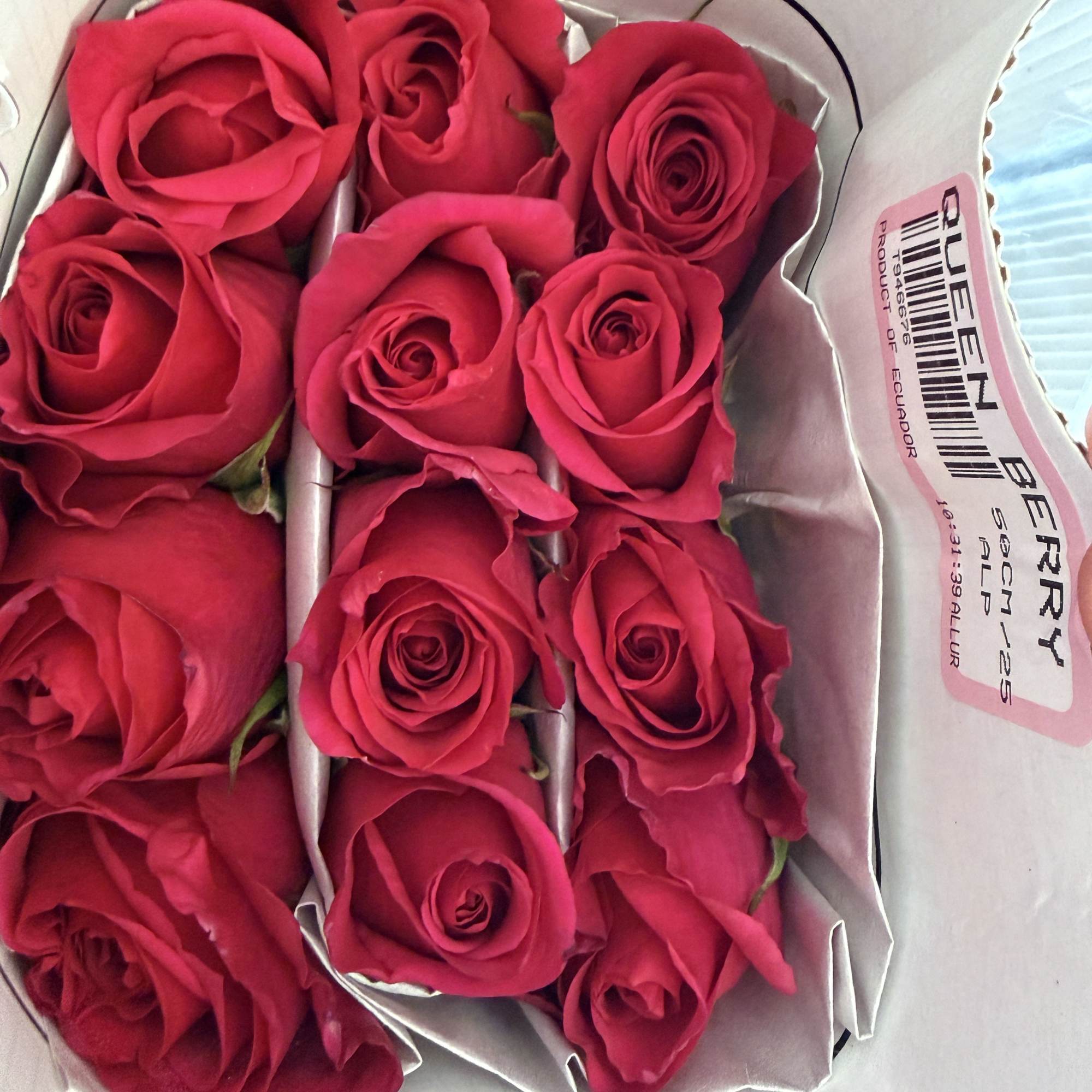 Box of bright pink roses arranged in paper sleeves
