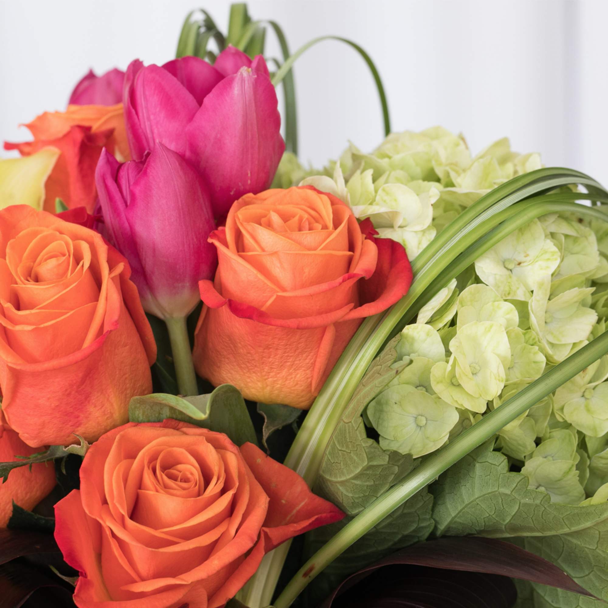 Arrangement of orange roses, pink tulips, and pale green hydrangeas in a close-up view