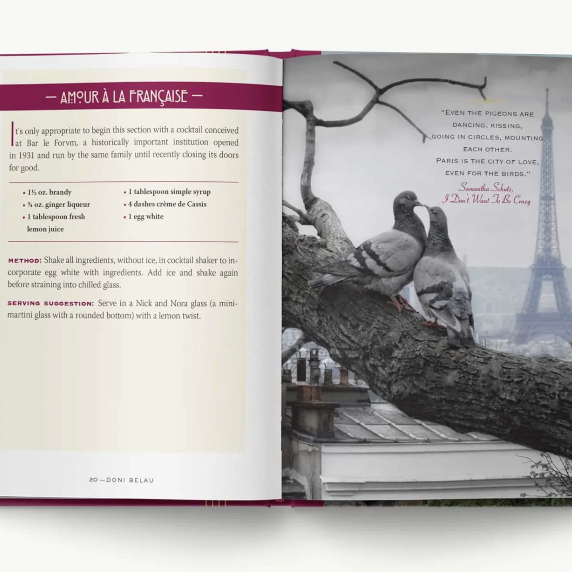 Open book showing a cocktail recipe and a Paris scene with pigeons and the Eiffel Tower