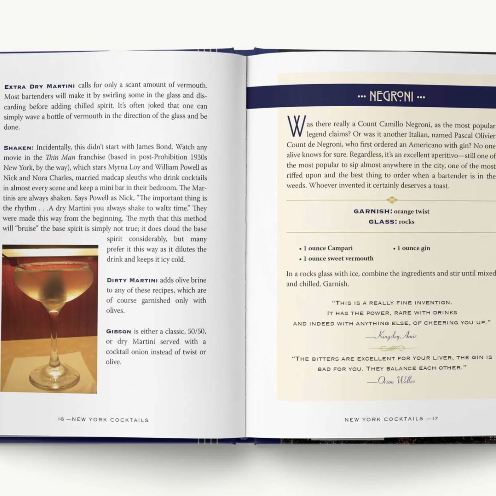 Open cocktail recipe book showing martini and negroni pages
