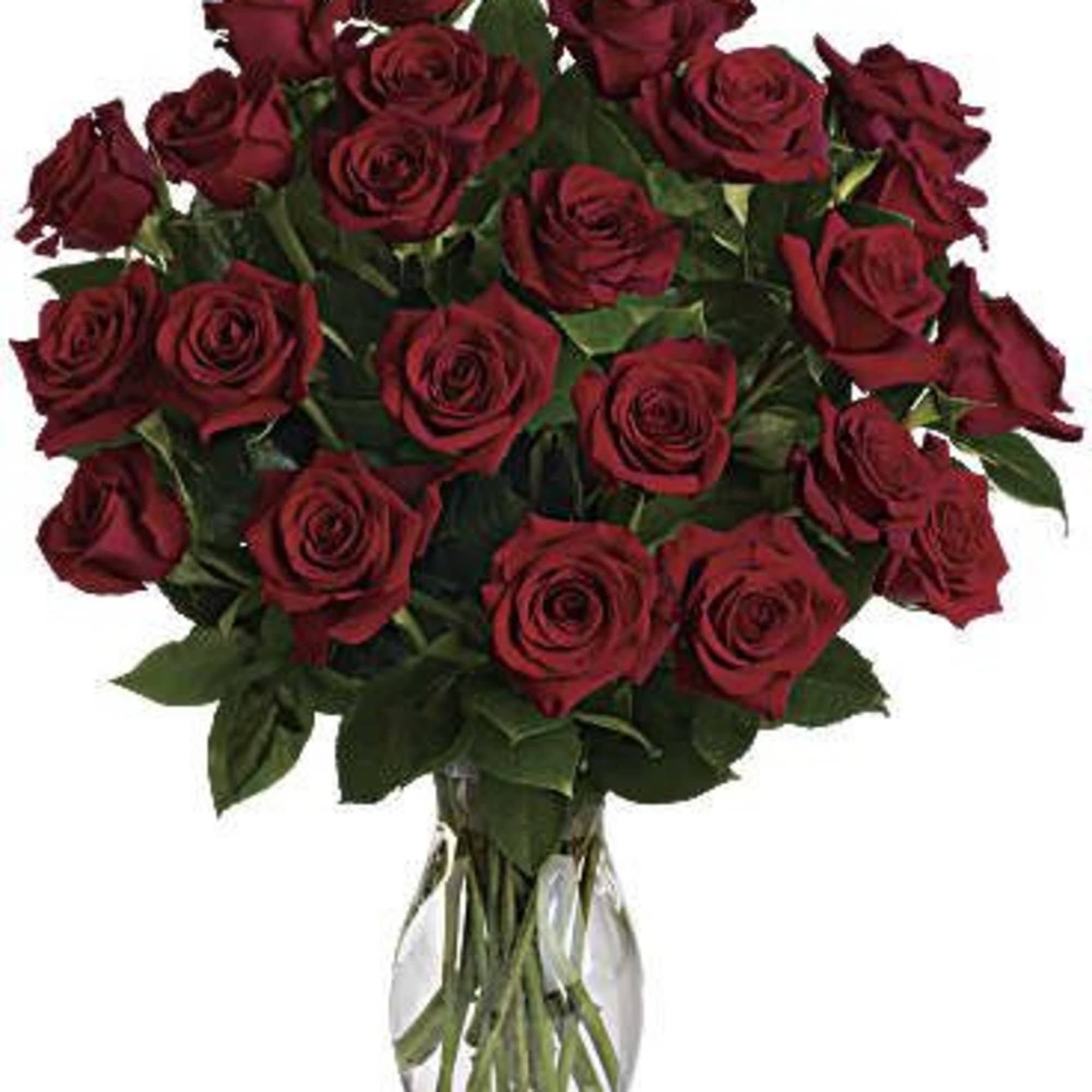 This ONE dozen red roses with baby's breath are classic! Perfect romantic