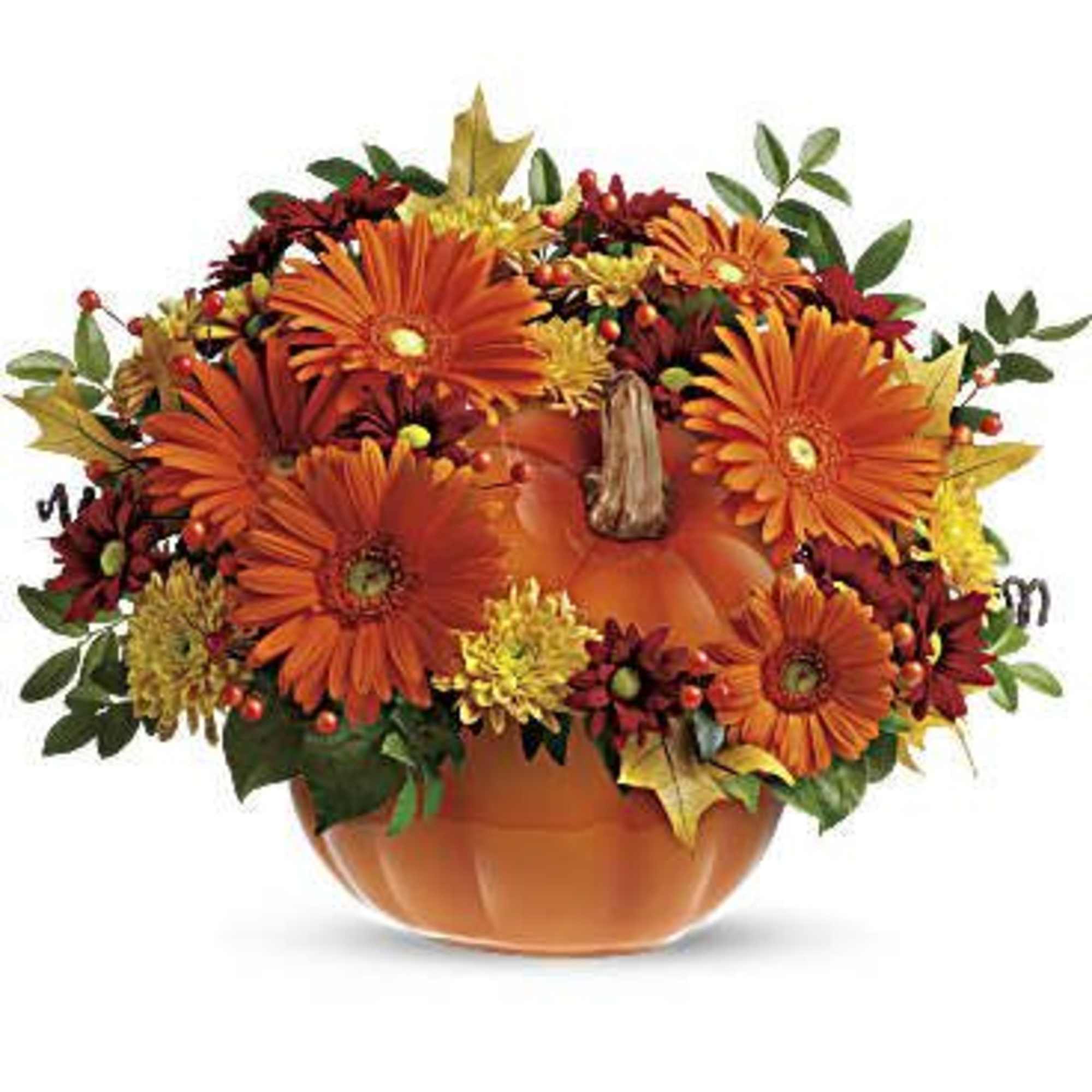 Orange gerbera daisies arranged in a pumpkin-shaped container