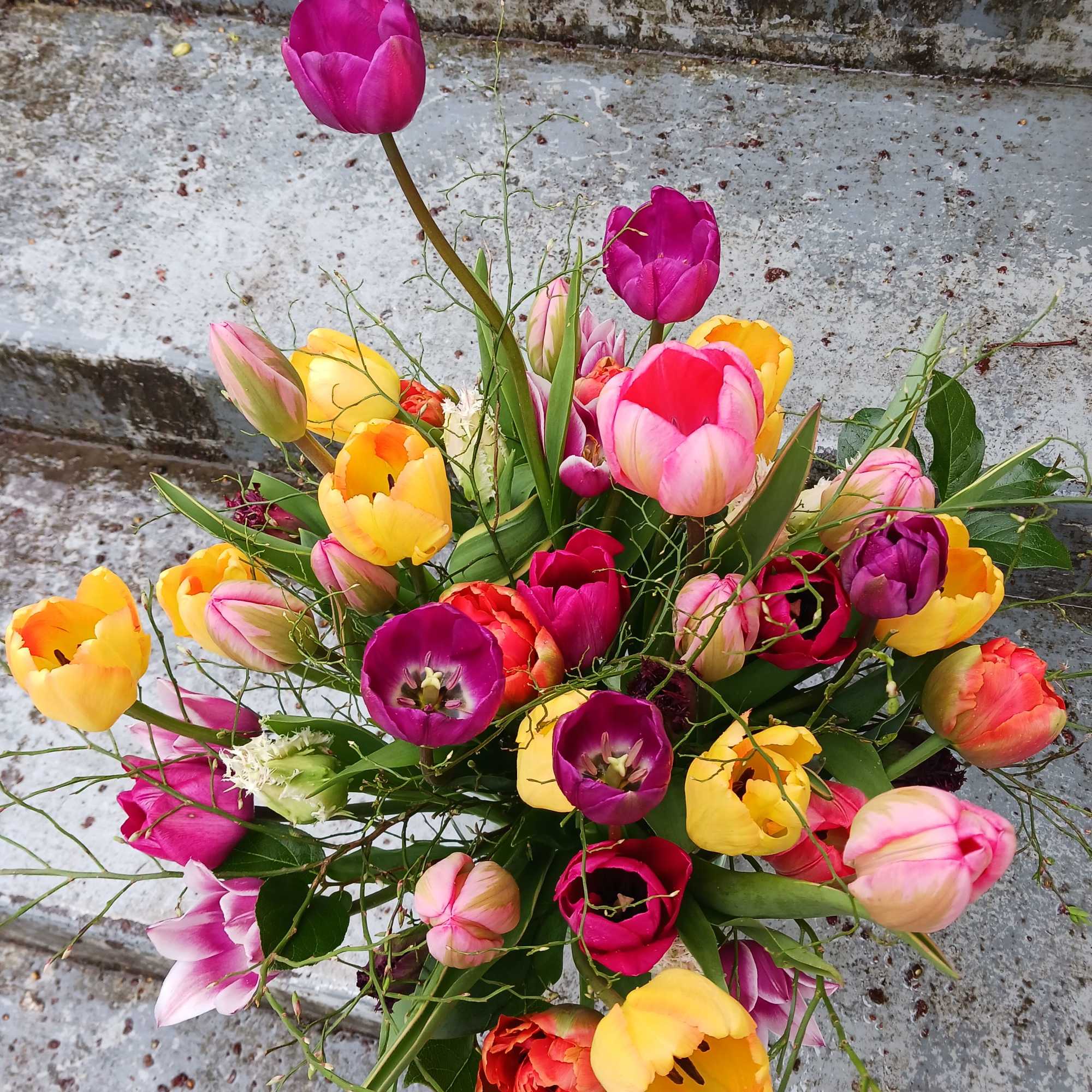 Bright mixed tulip bouquet in pink, yellow, orange, and purple resting on stone steps