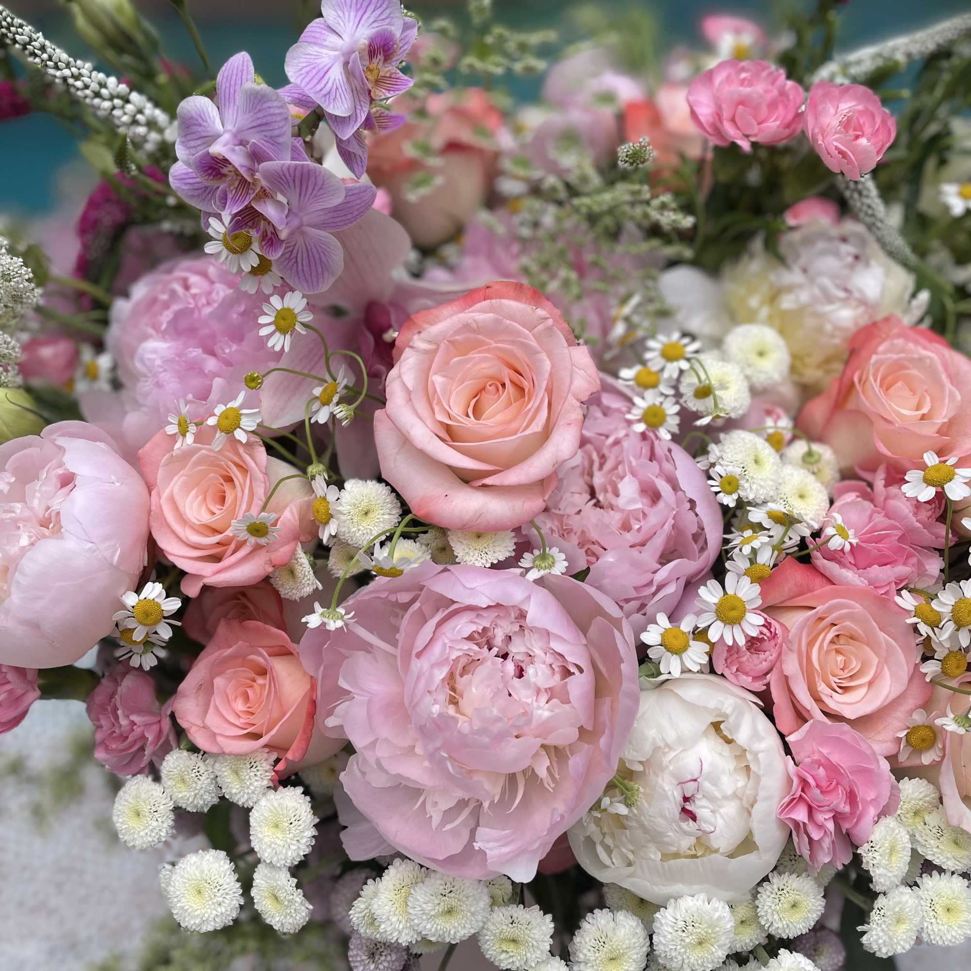 Pink and lavender bouquet with roses, peonies, and small white daisies