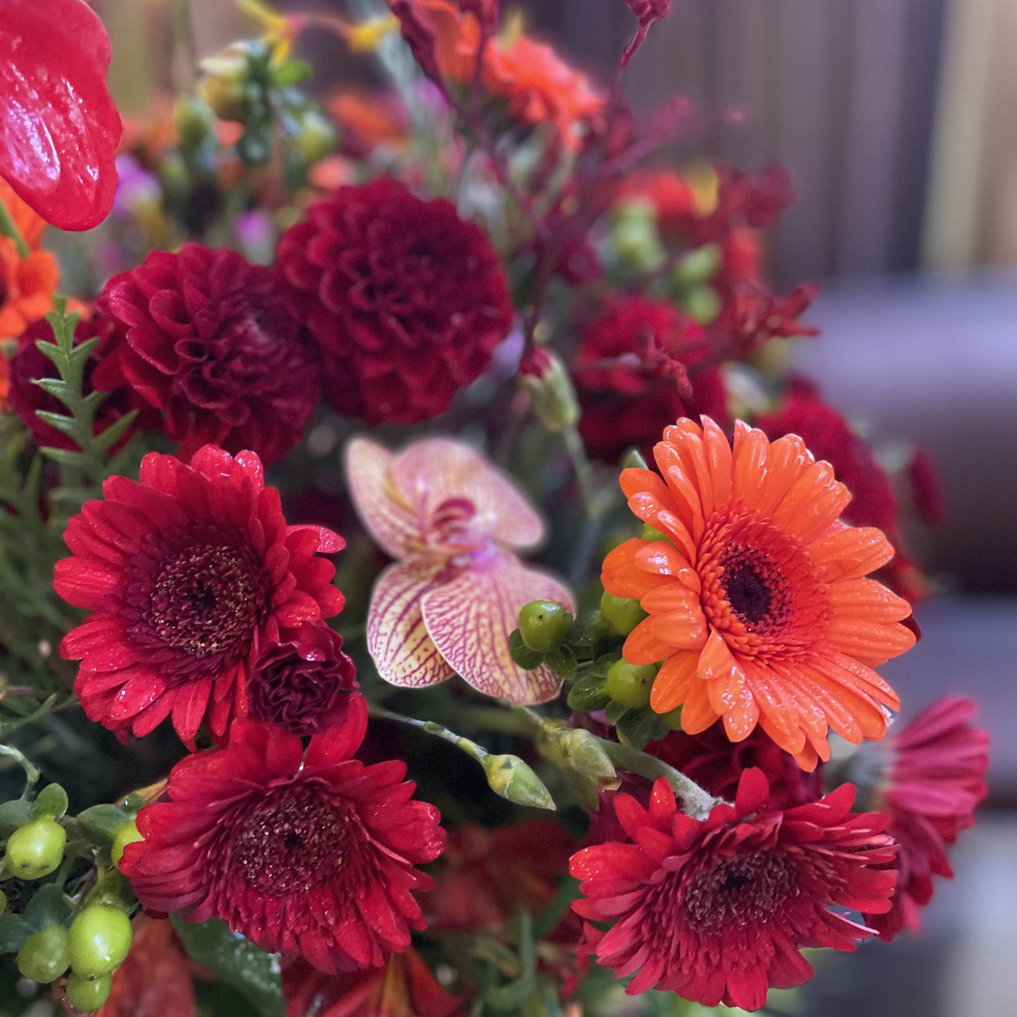 Bright mixed bouquet with red and orange daisy-like flowers