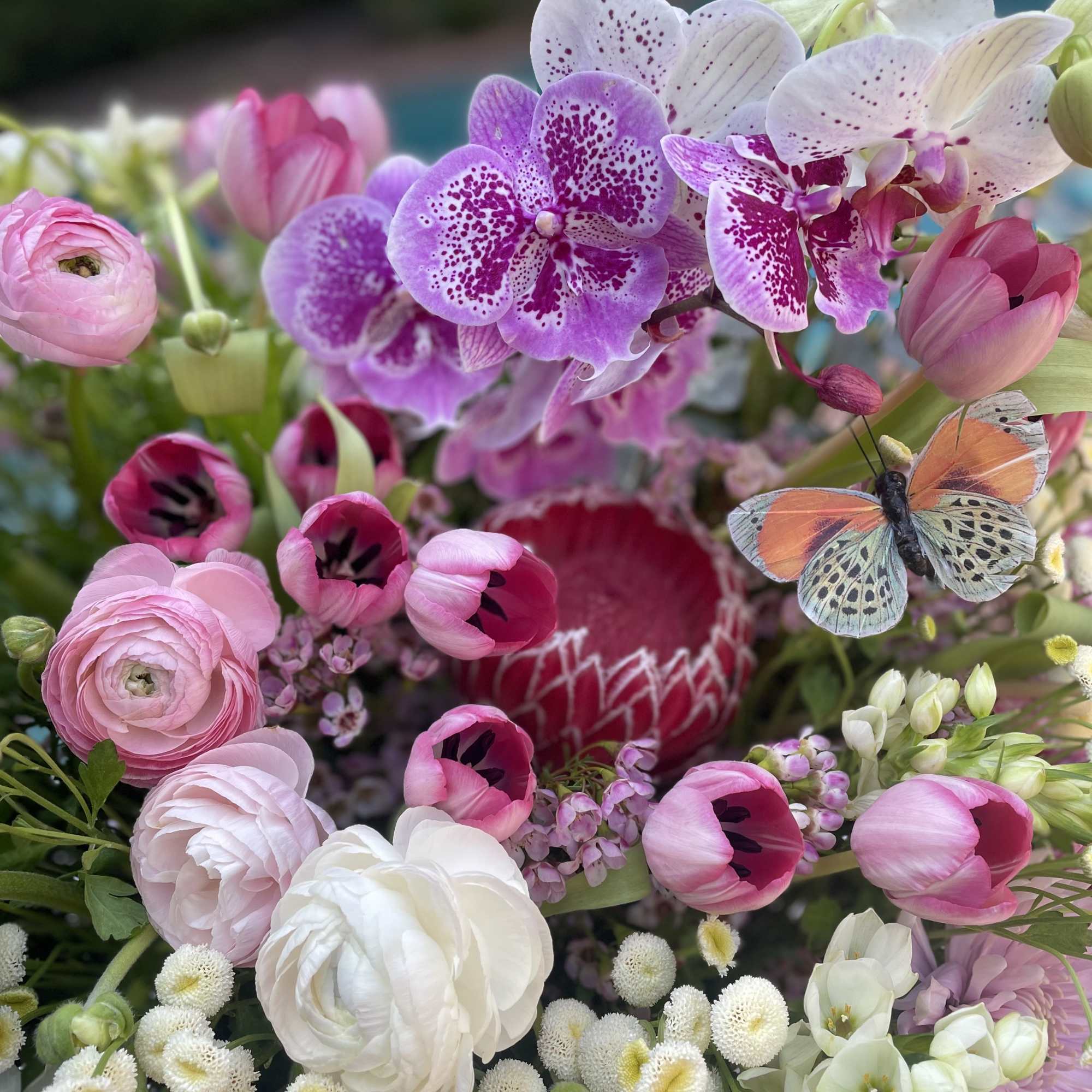 Pink and white floral bouquet with orchids, tulips, and ranunculus