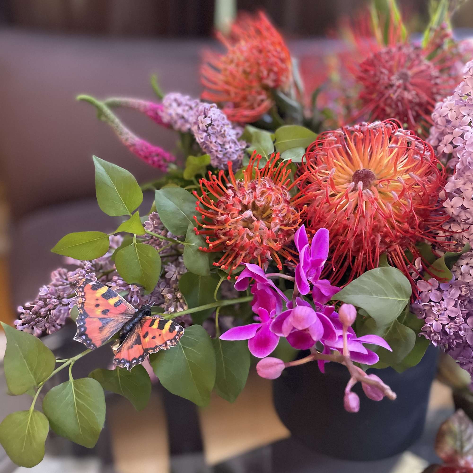 Bouquet of orange pincushion blooms and purple flowers with a butterfly accent