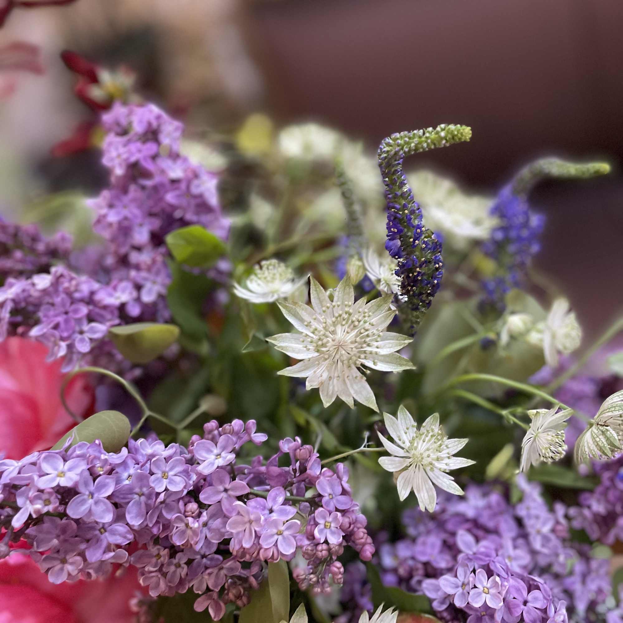 Bouquet of purple lilacs and white star-shaped flowers