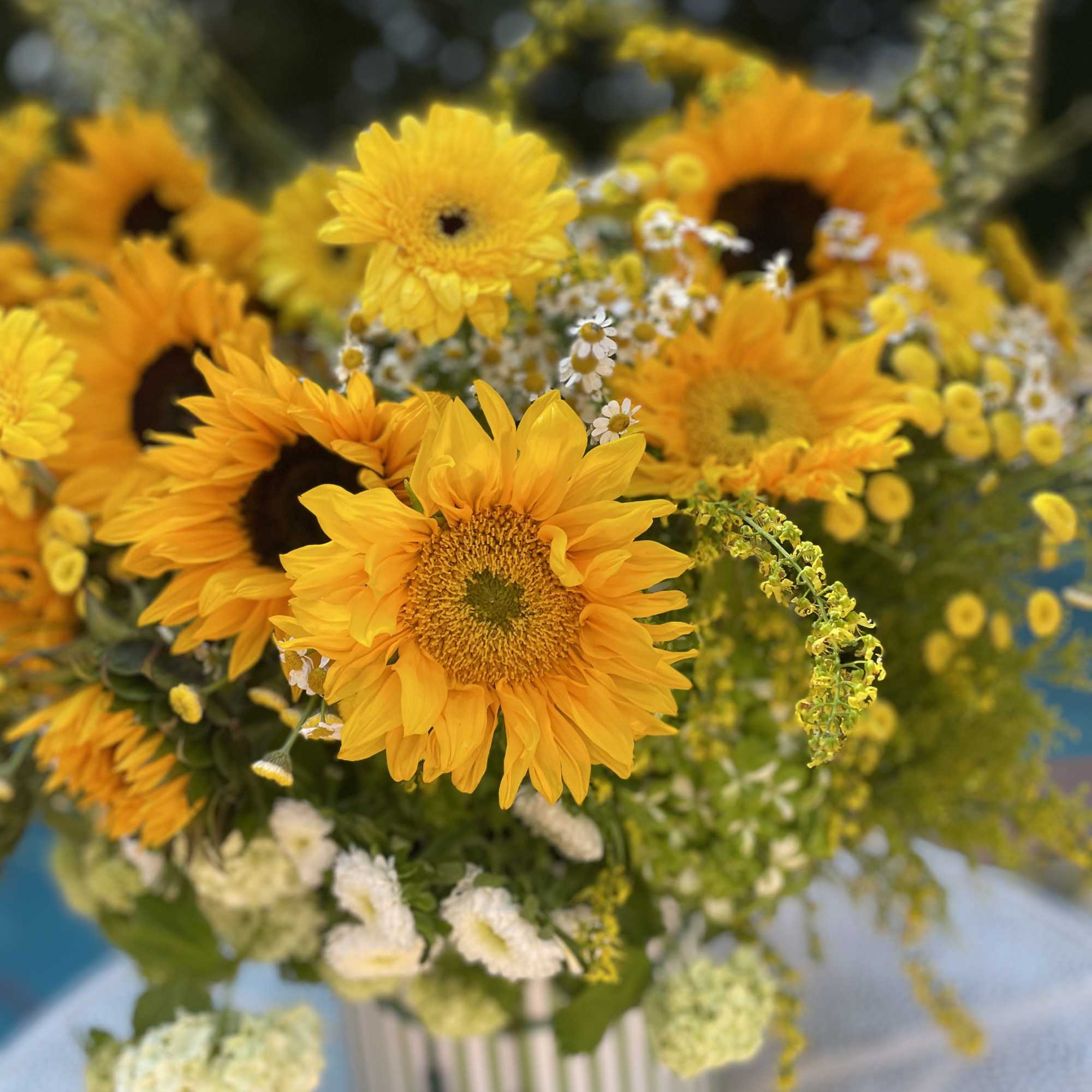 Yellow sunflowers arranged in a striped vase