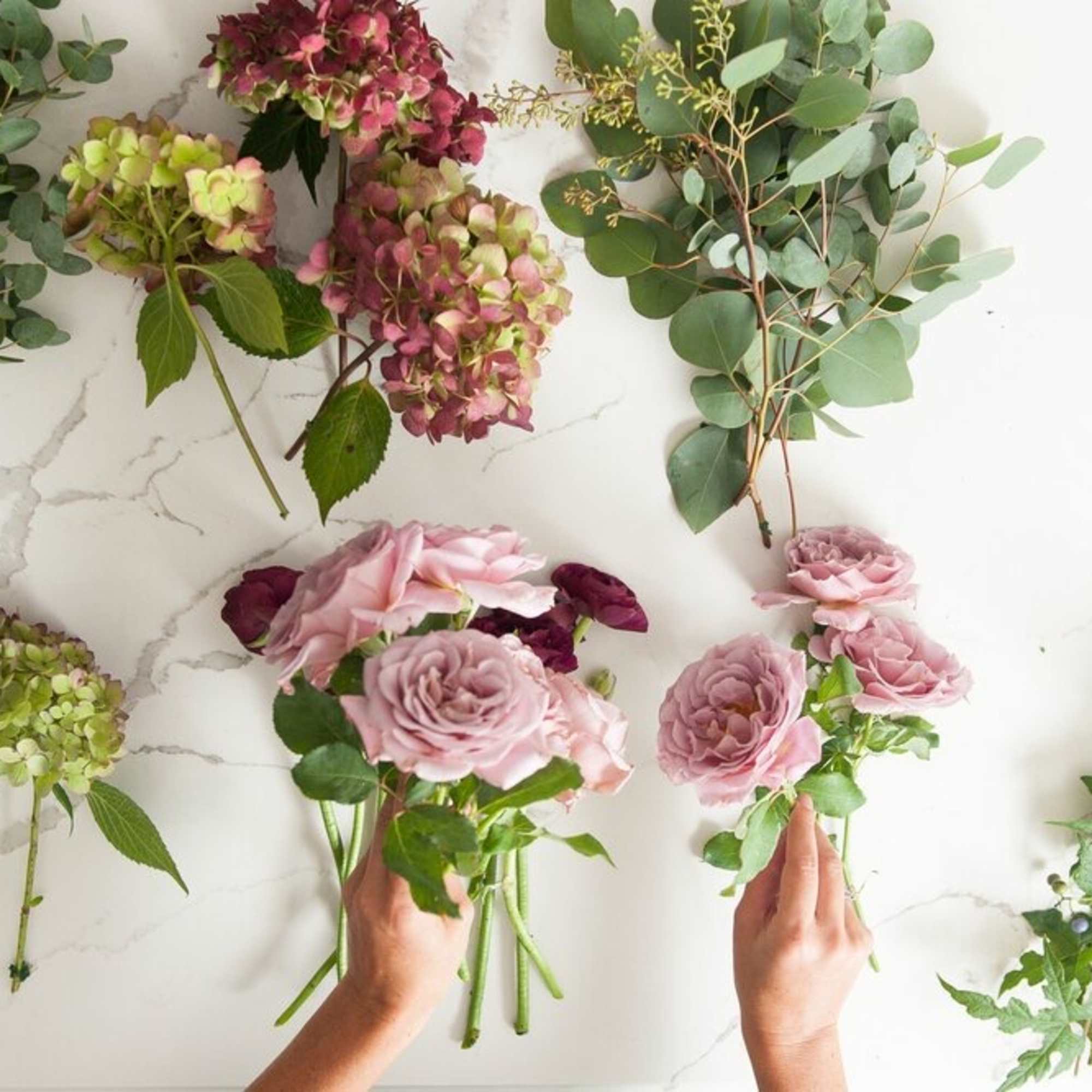 Pink roses and hydrangeas arranged with eucalyptus sprigs on a white surface
