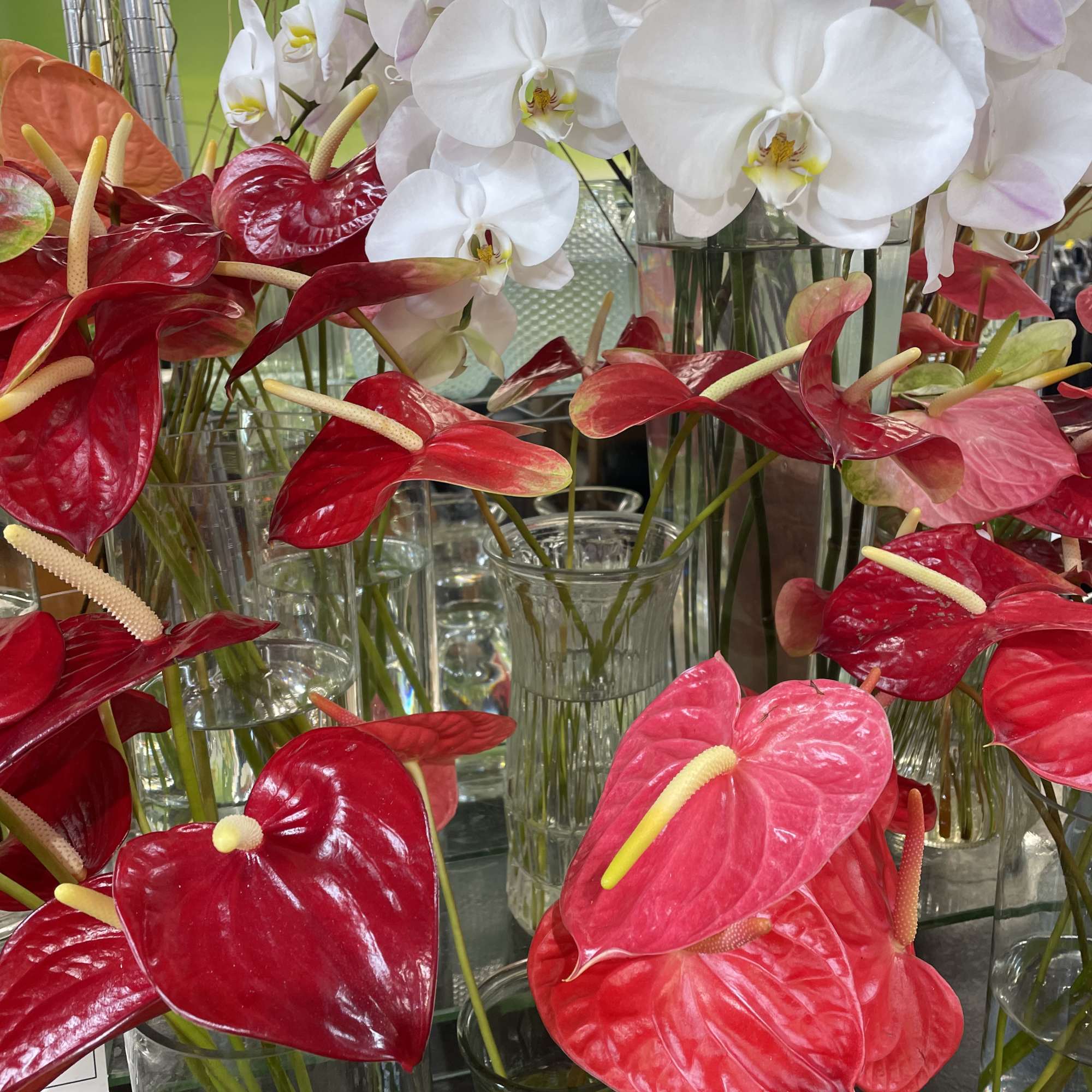 White orchids and red anthuriums arranged in glass vases