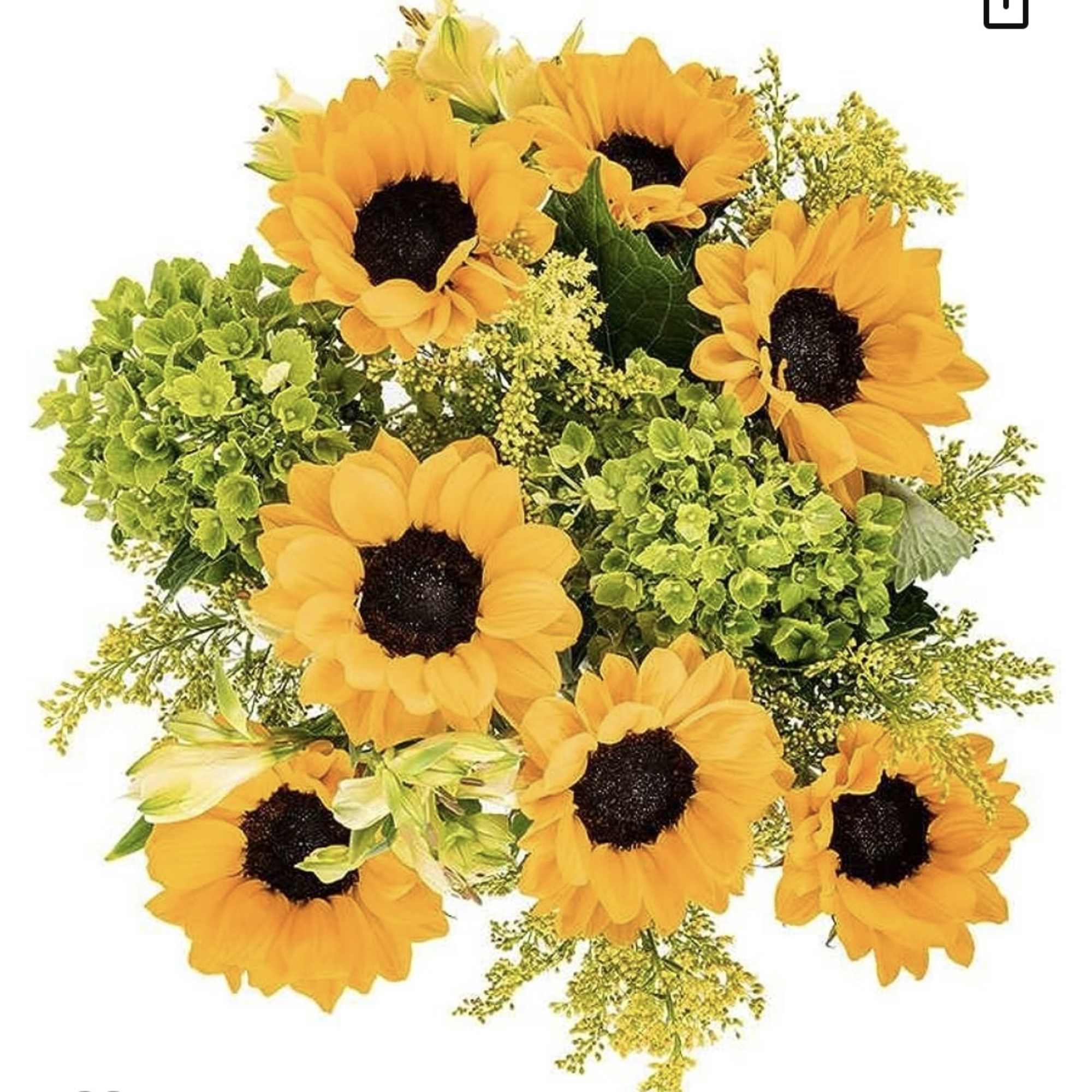 Bouquet of orange sunflowers with green filler flowers