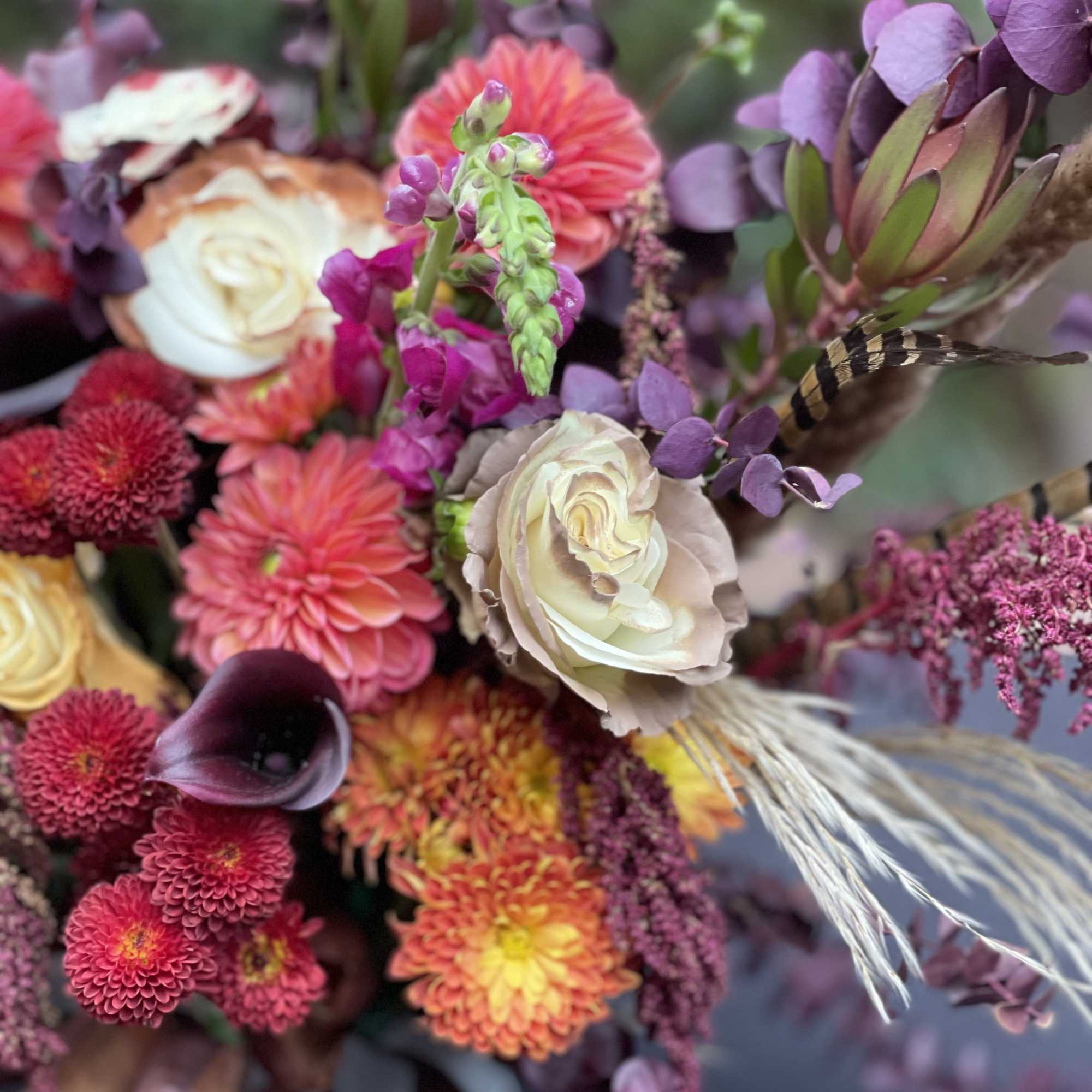 Bouquet of pink, purple, and cream flowers with a feather accent