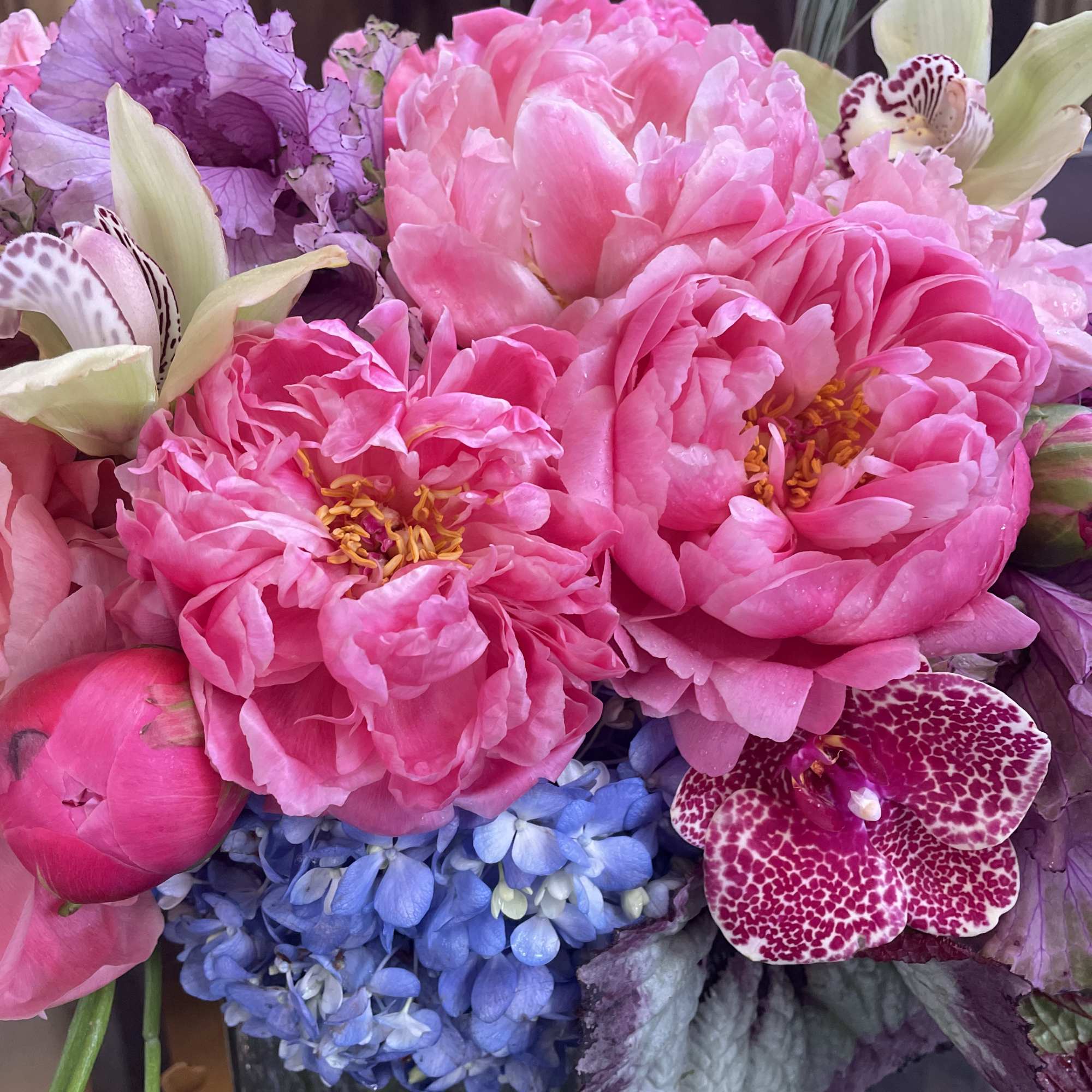 Pink peonies with blue hydrangea and spotted orchids in a vase